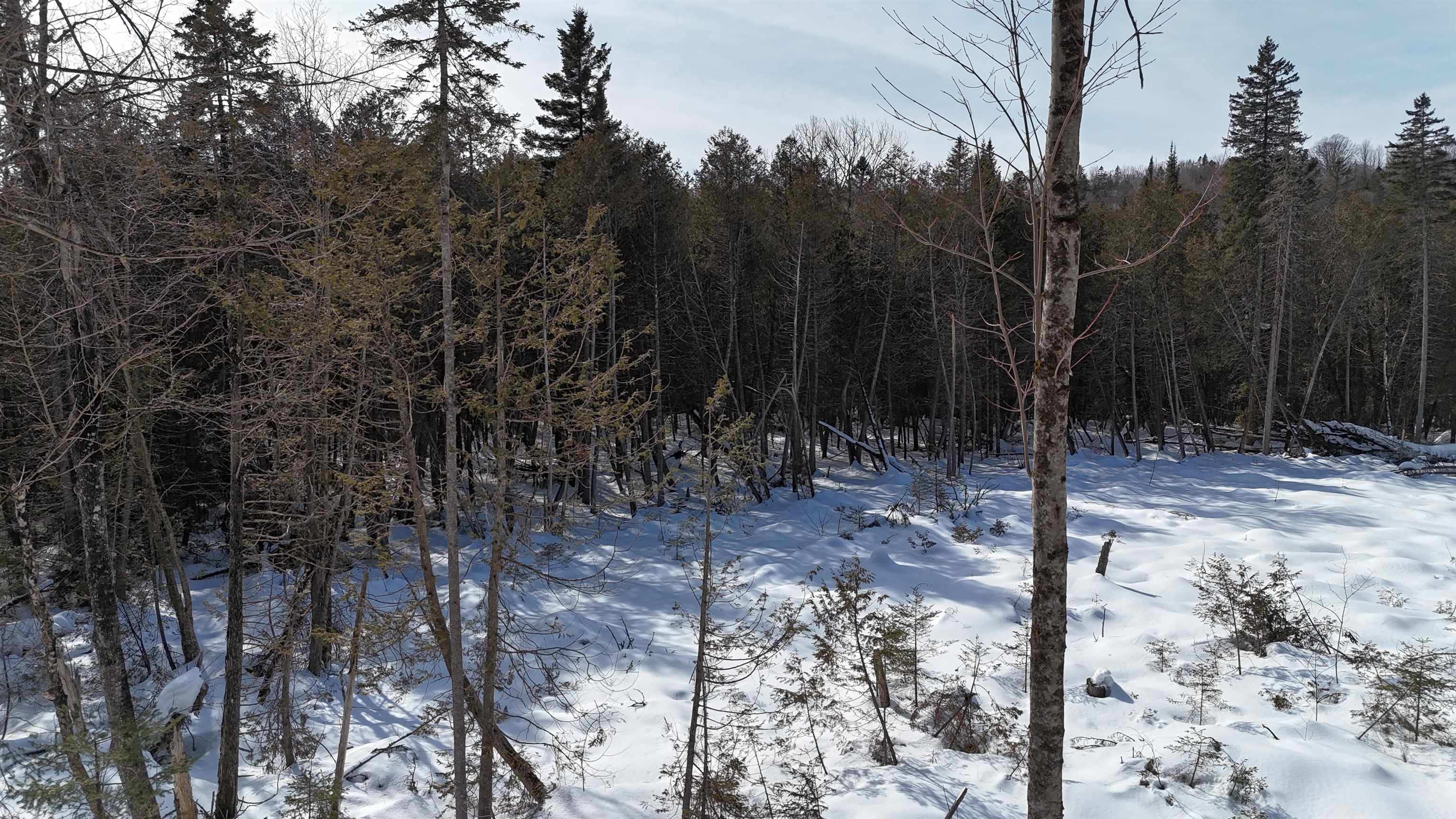 00 Vermont Route 5a Property Photo 18