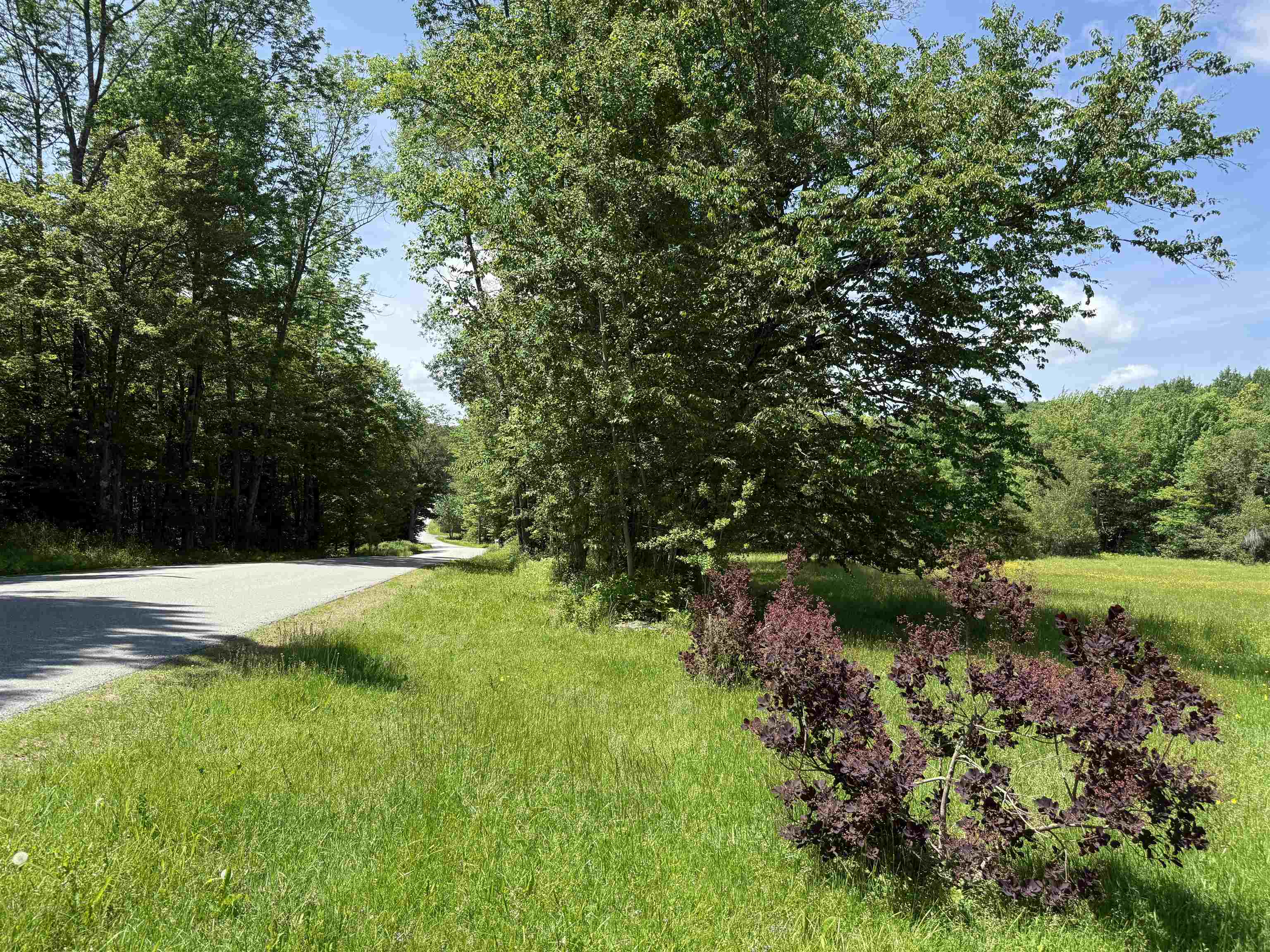 1033 Burrington Hill Road Property Photo 47