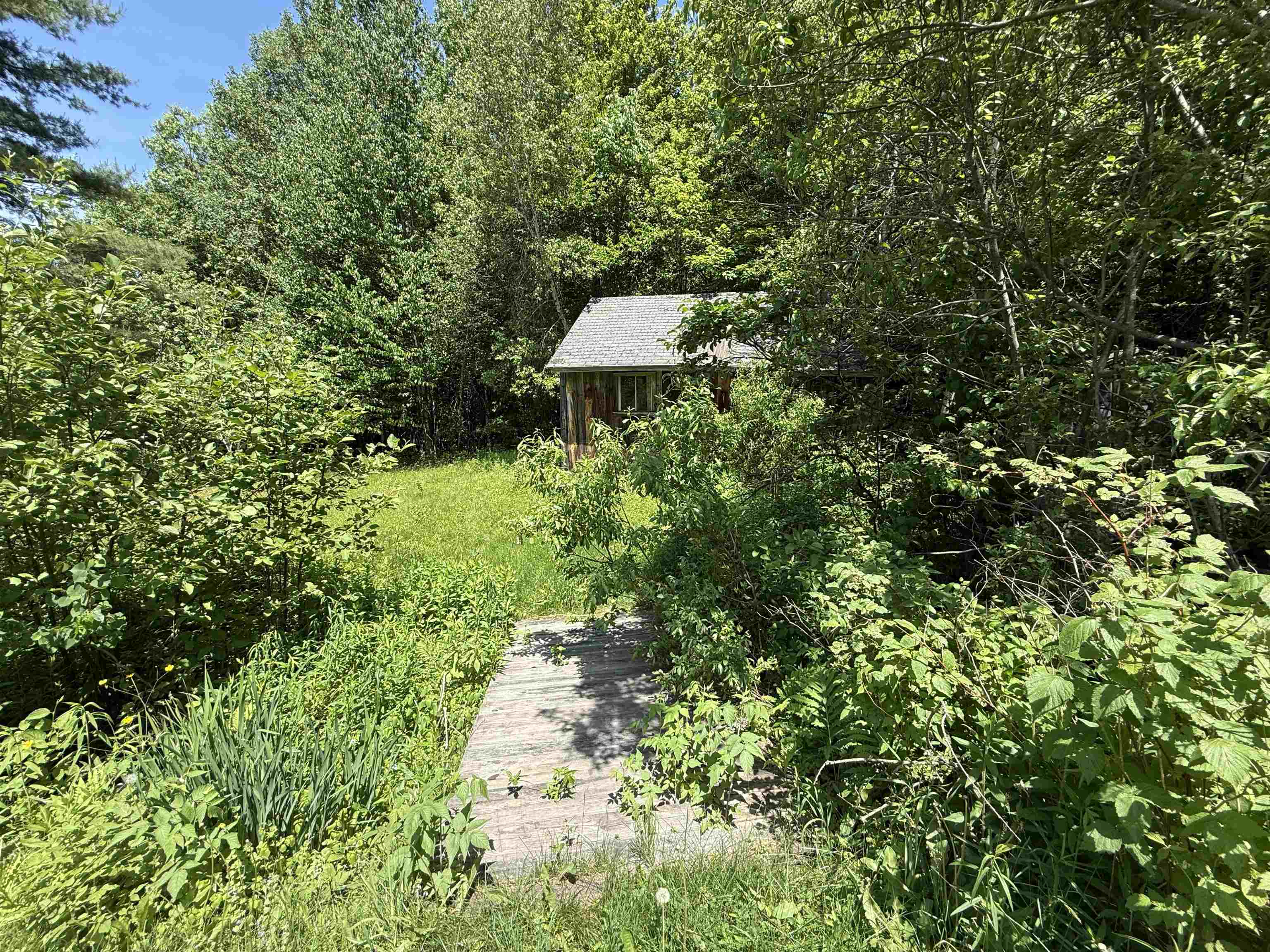 1033 Burrington Hill Road Property Photo 48