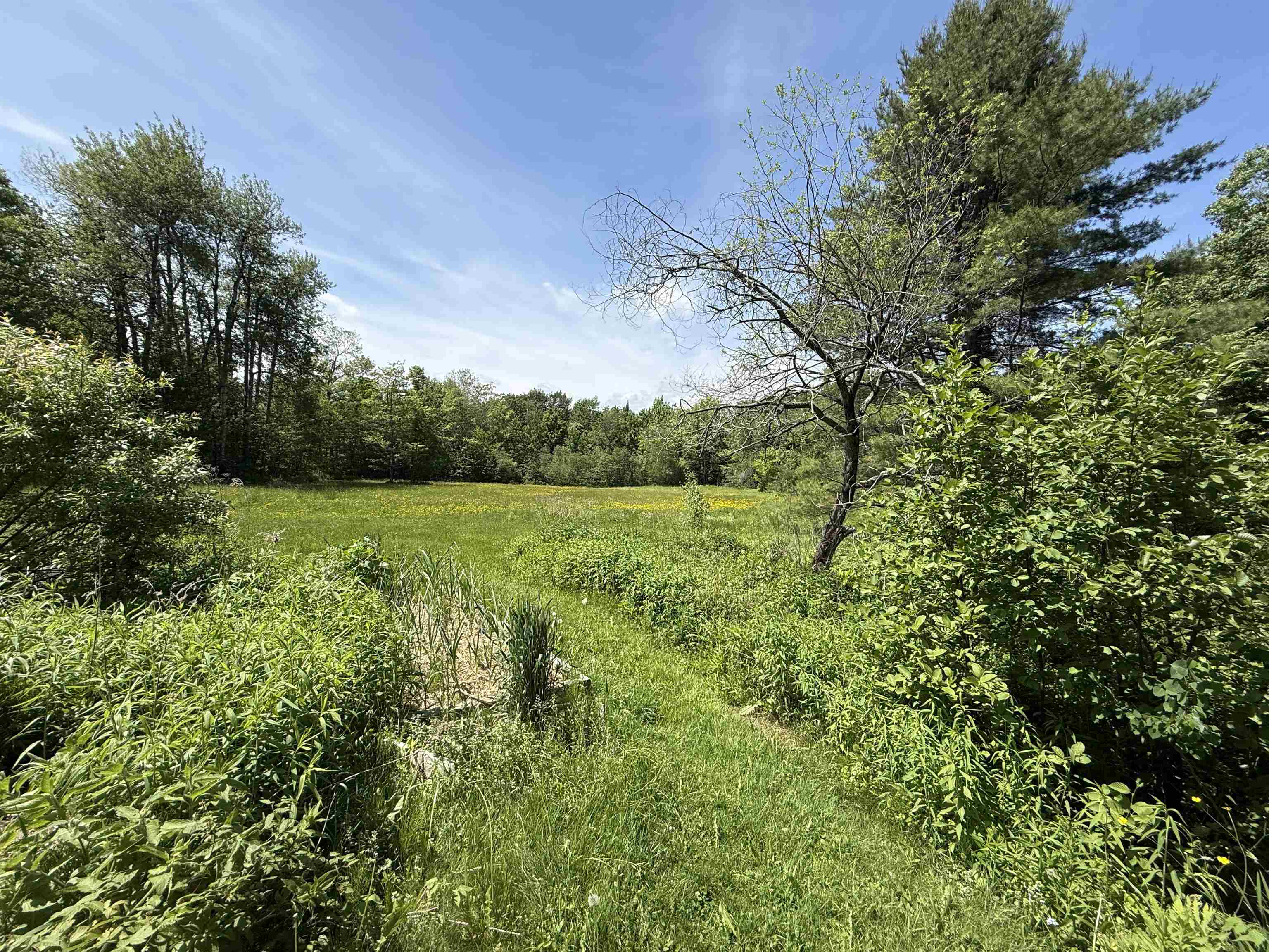1033 Burrington Hill Road Property Photo 51