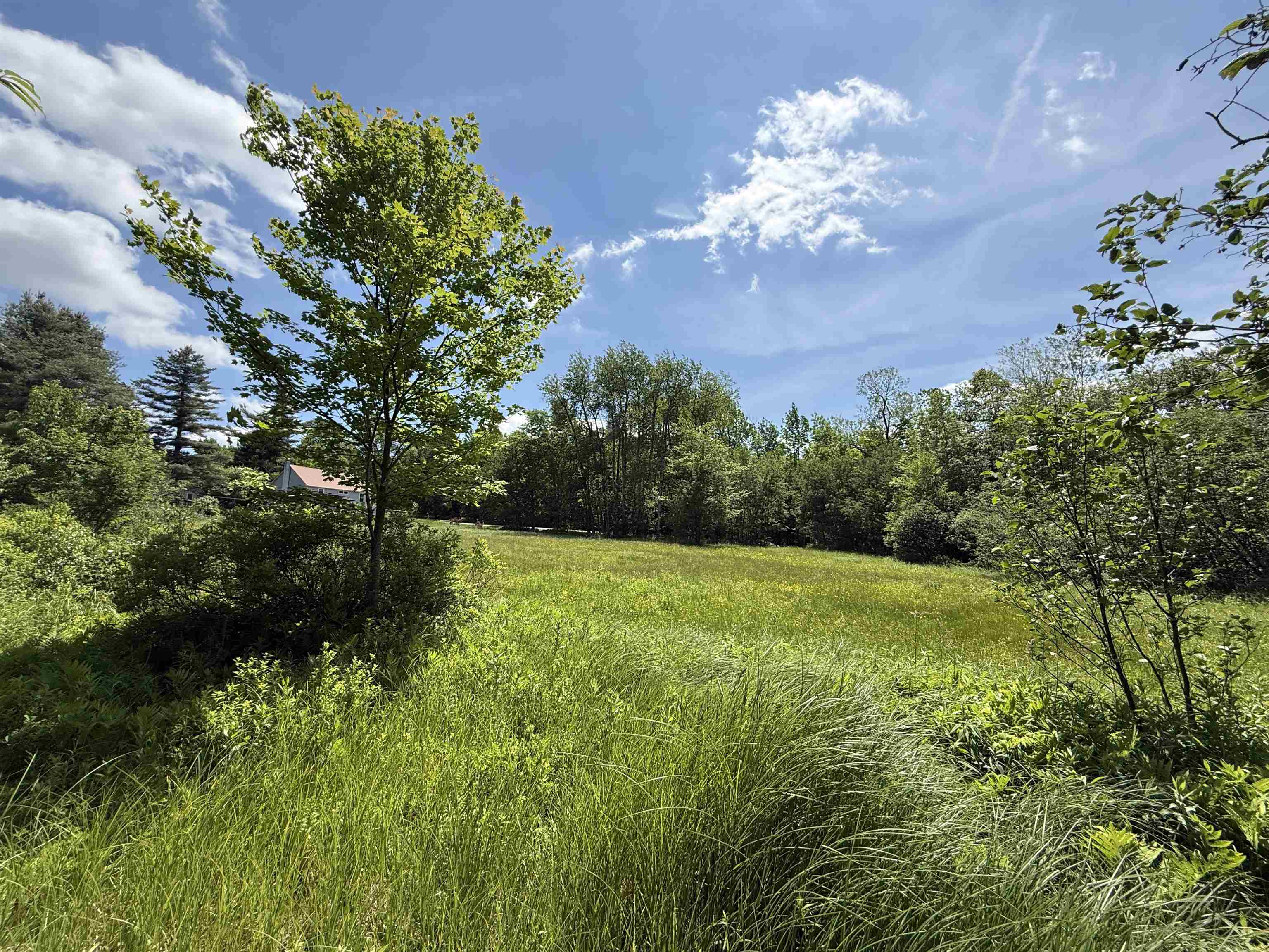 1033 Burrington Hill Road Property Photo 52