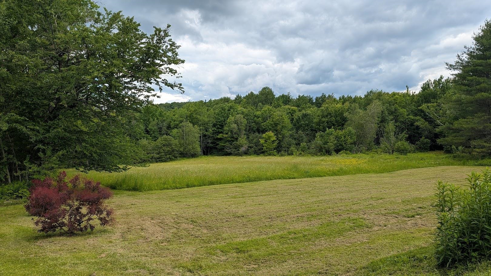 1033 Burrington Hill Road Property Photo 55