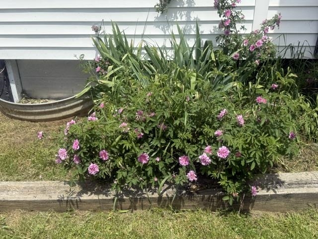 380 Stratton Road Property Photo 24