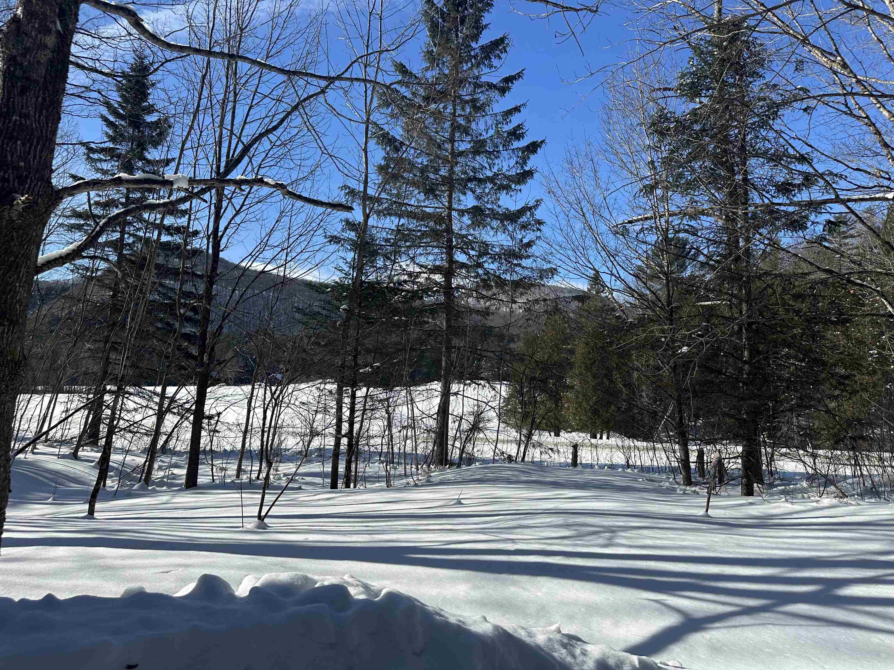 9 Dry Pond Road Property Photo 24