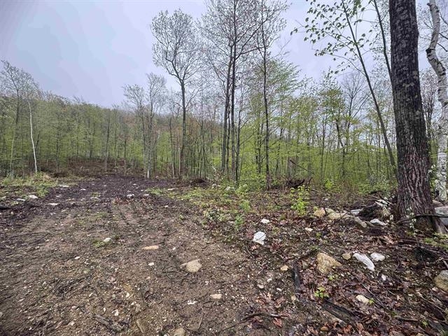 000 Upper Plains Road Property Photo 1