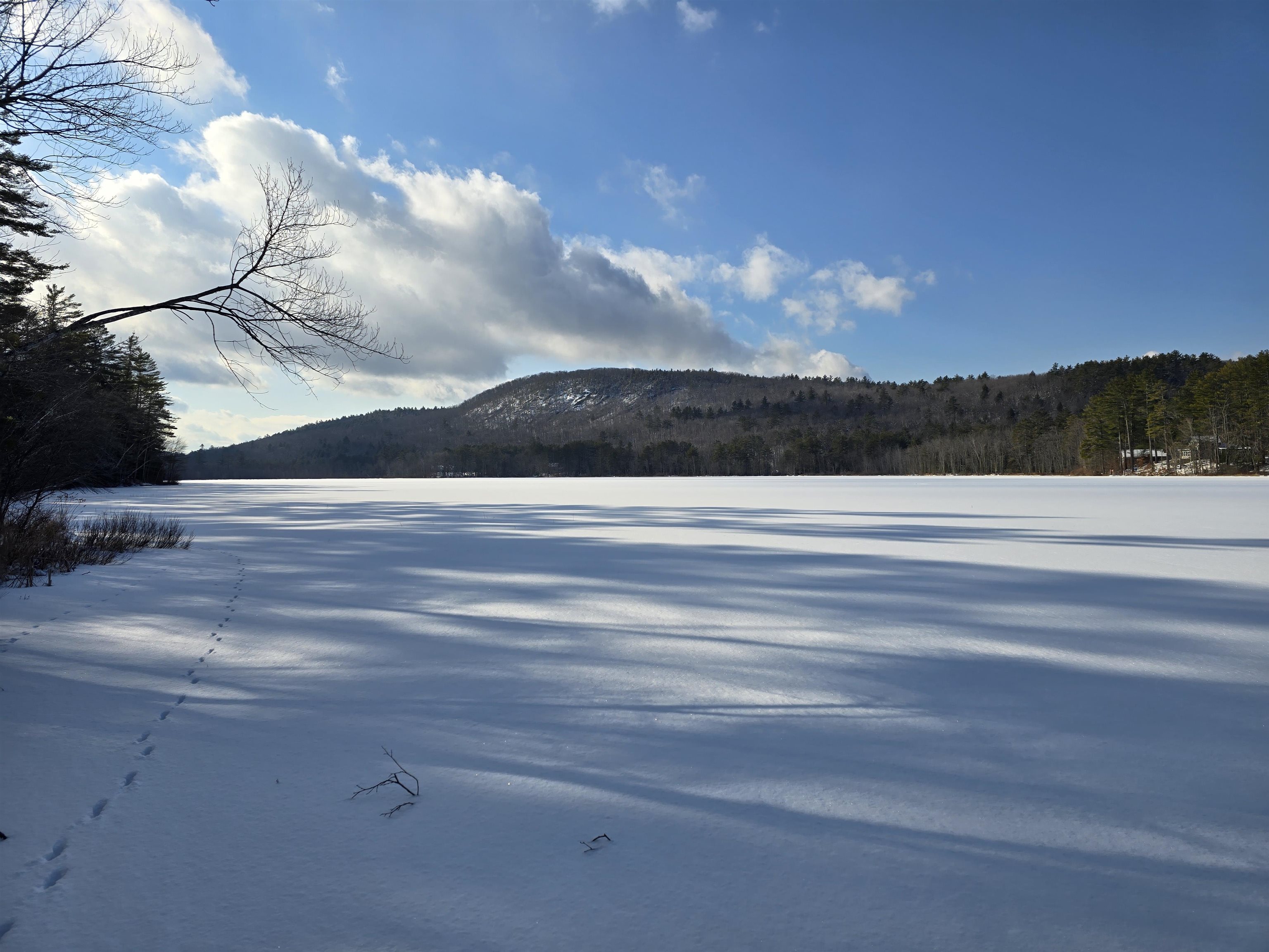 Tbd Stocker Pond Road Property Photo 3