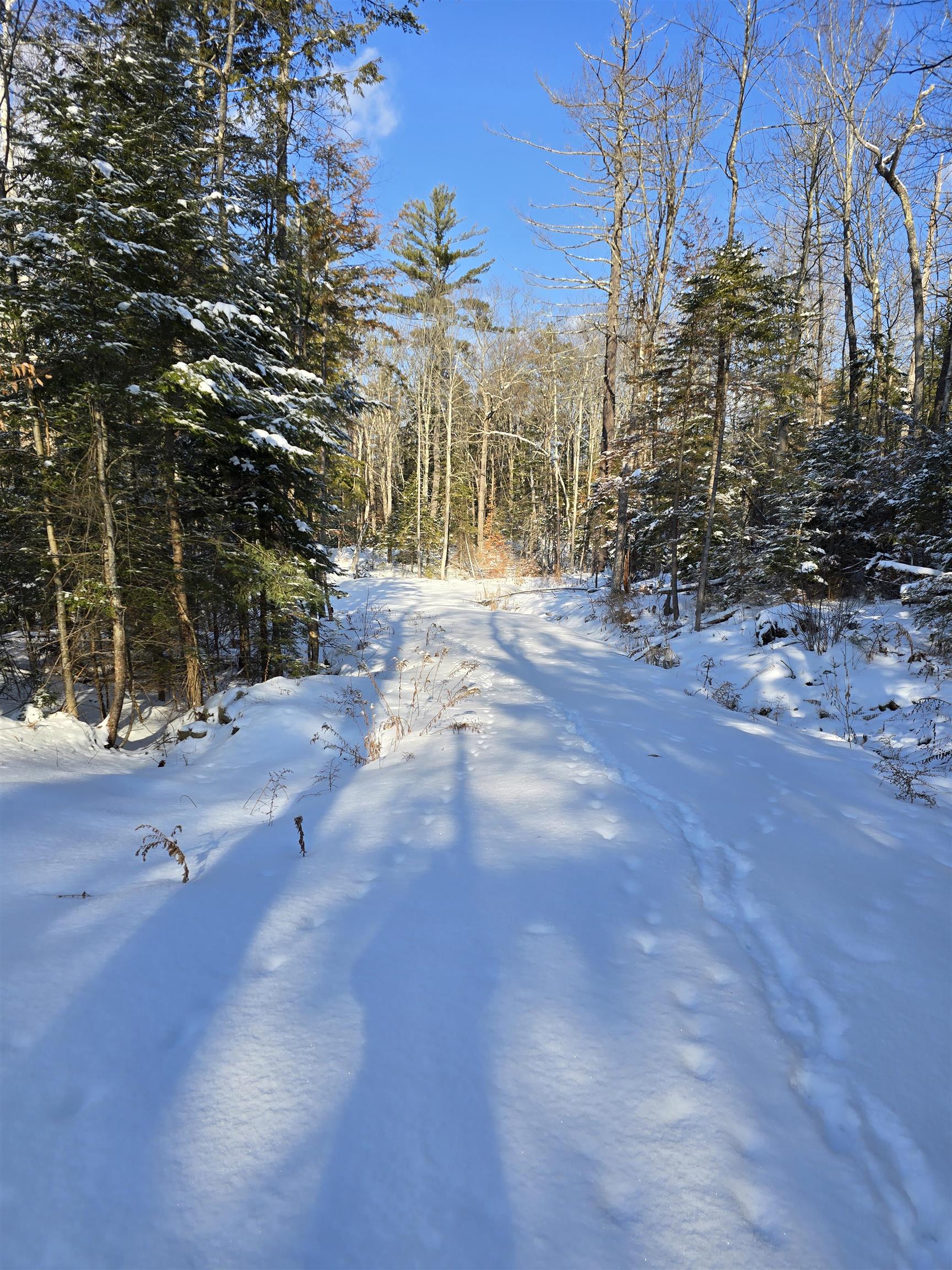 Tbd Stocker Pond Road Property Photo 4