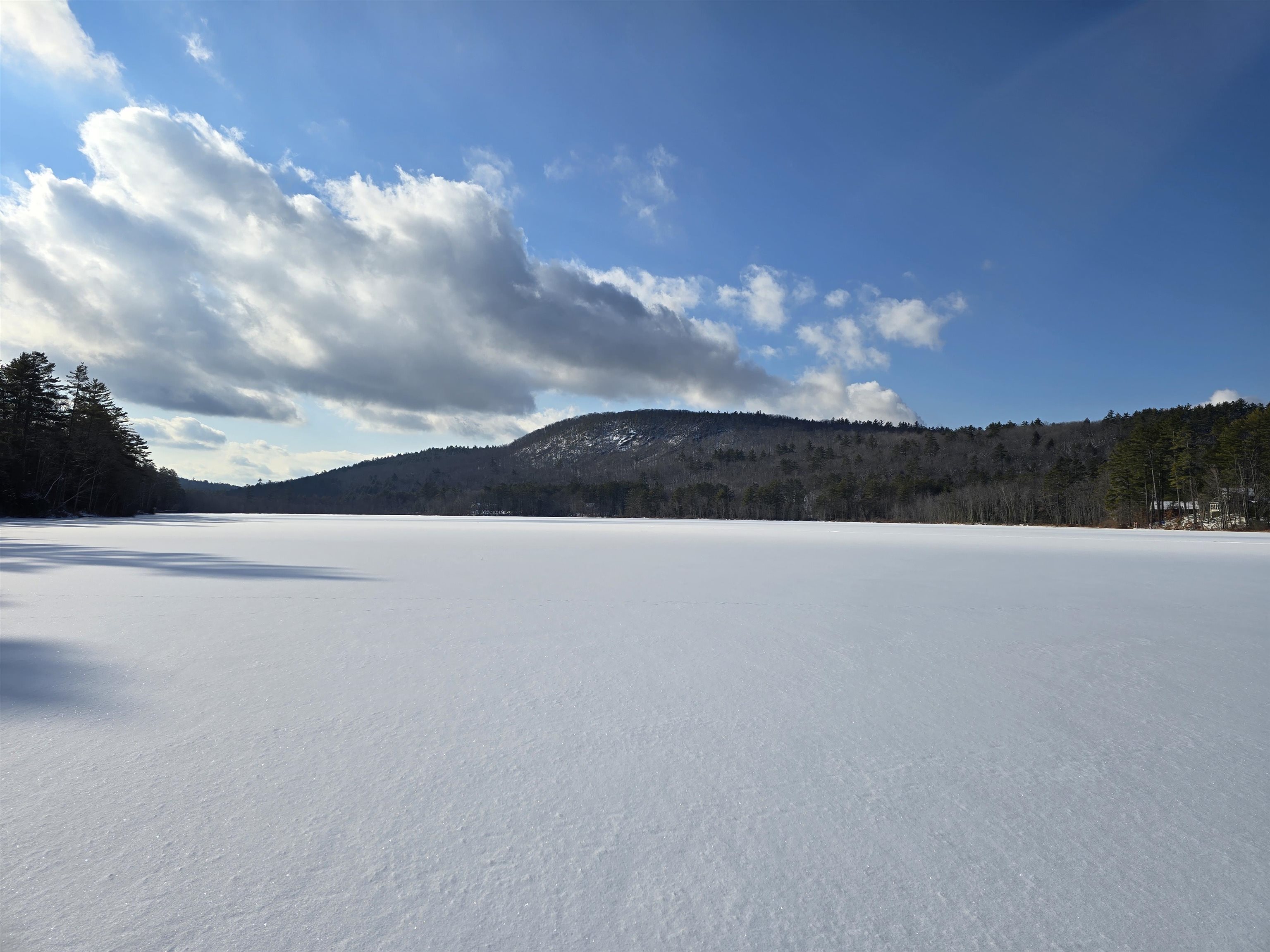 Tbd Stocker Pond Road Property Photo 5