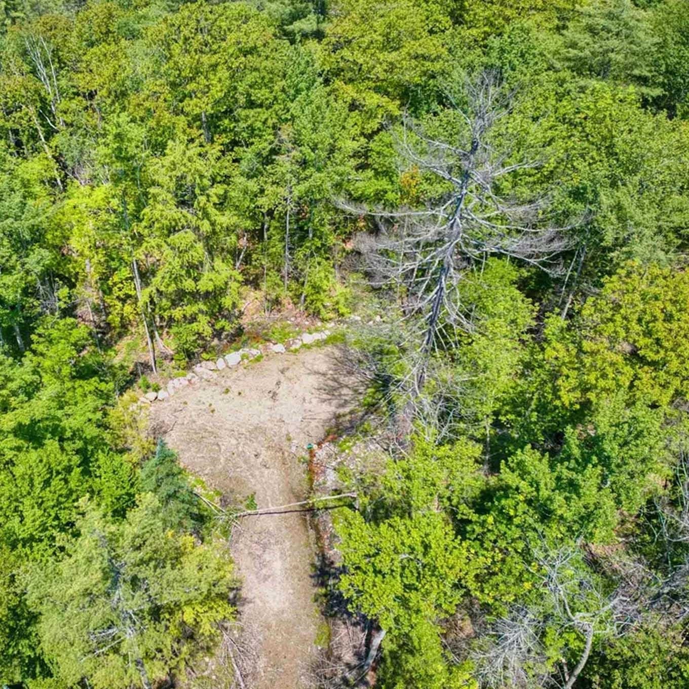 Tbd Stocker Pond Road Property Photo 6