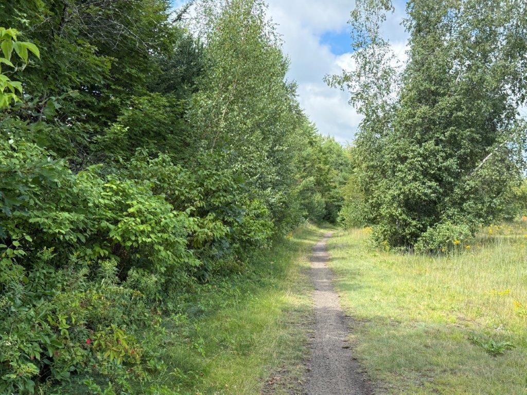 75 Library Road Property Photo 12