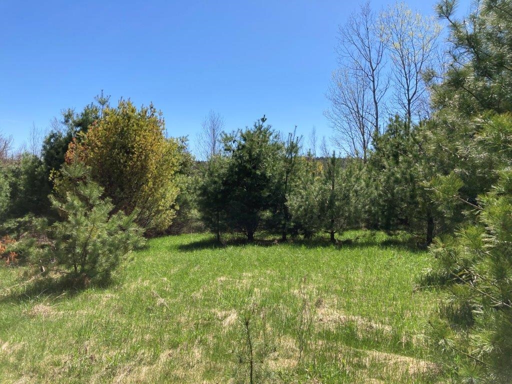 0 Us Route 4 Property Photo 2