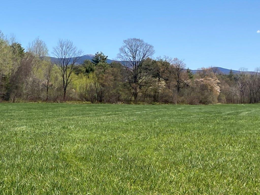 0 Us Route 4 Property Photo 3