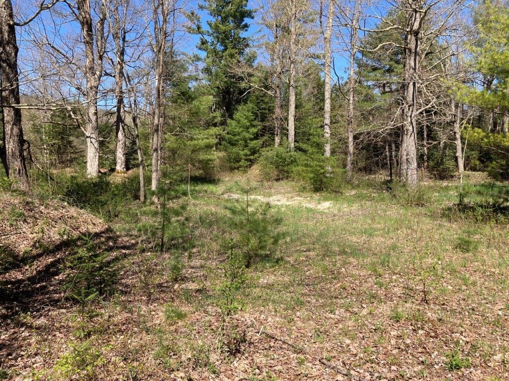 0 Us Route 4 Property Photo 22