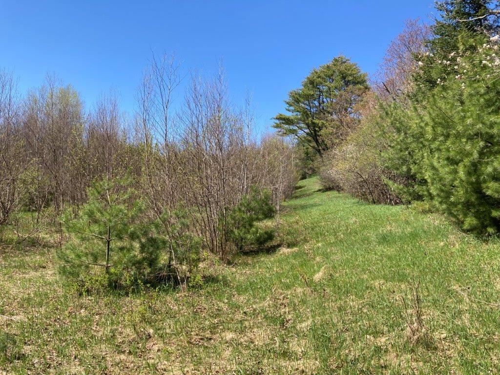 0 Us Route 4 Property Photo 23