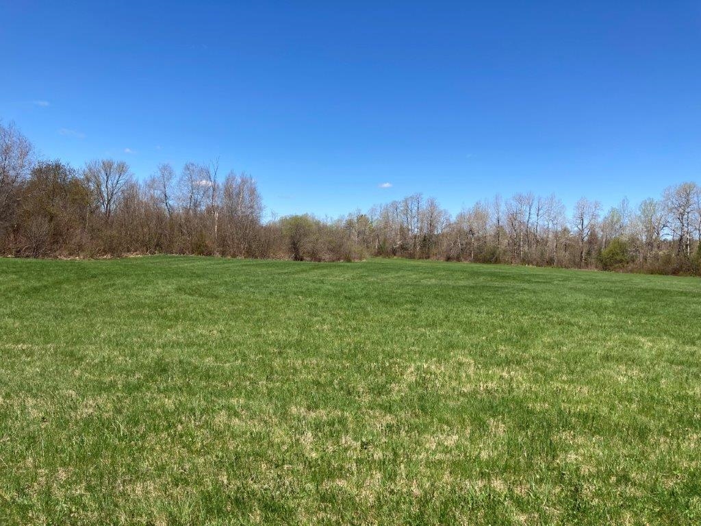 Potato Road Property Photo 7