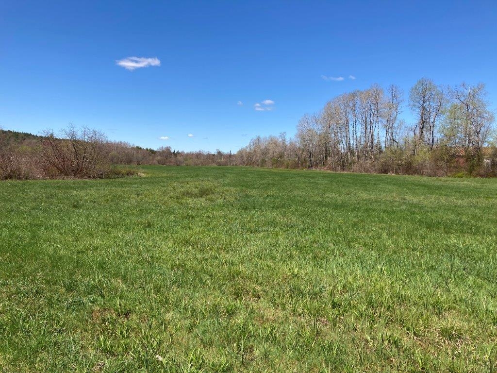Potato Road Property Photo 15