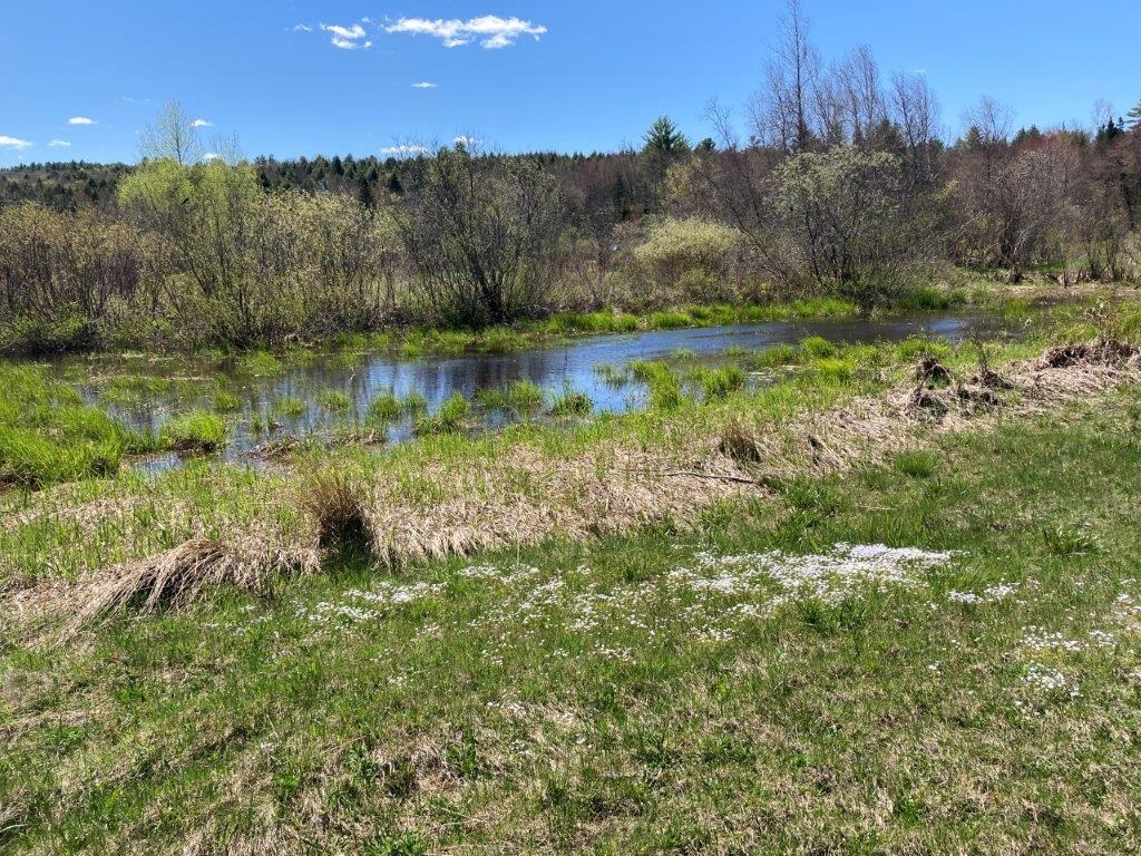Potato Road Property Photo 17