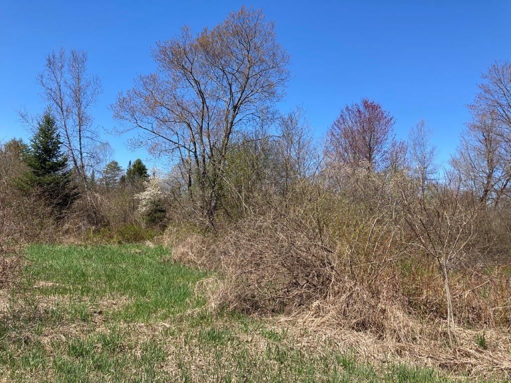 Potato Road Property Photo 22