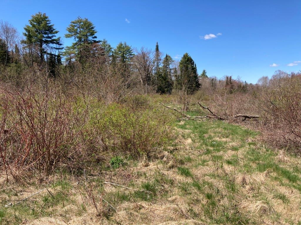 Potato Road Property Photo 23