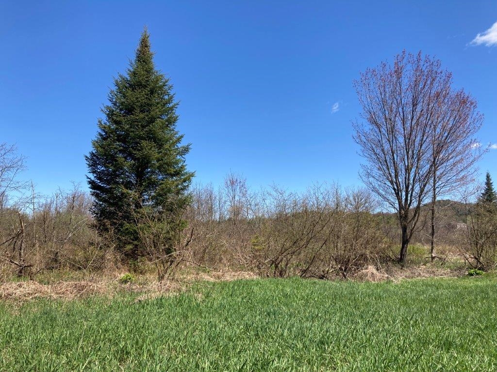 Potato Road Property Photo 25