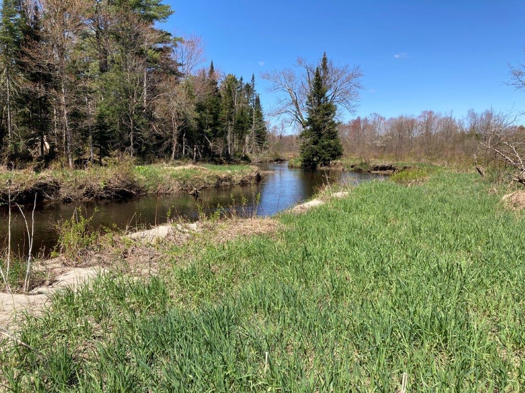Potato Road Property Photo 33