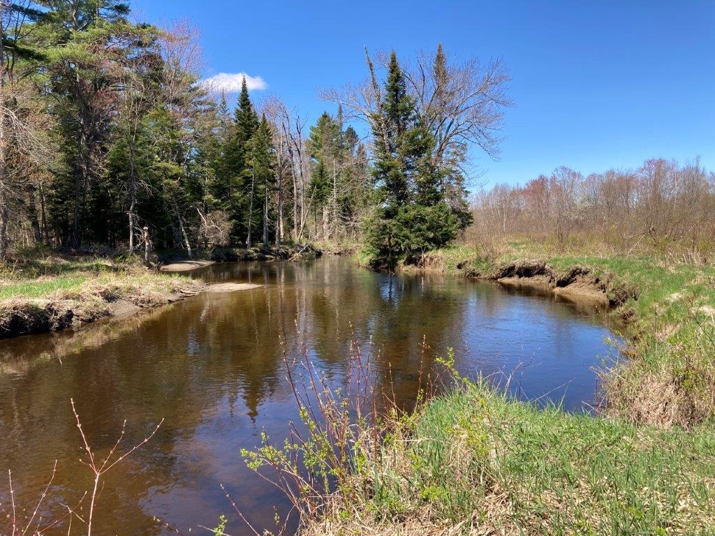 Potato Road Property Photo 35