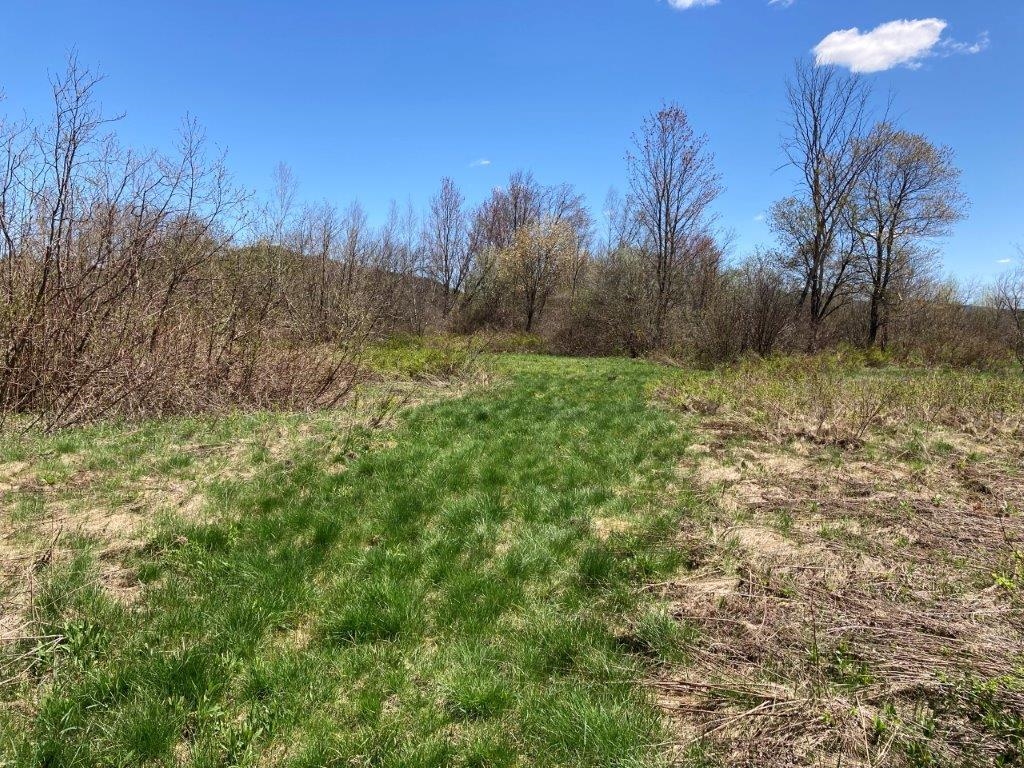 Potato Road Property Photo 37