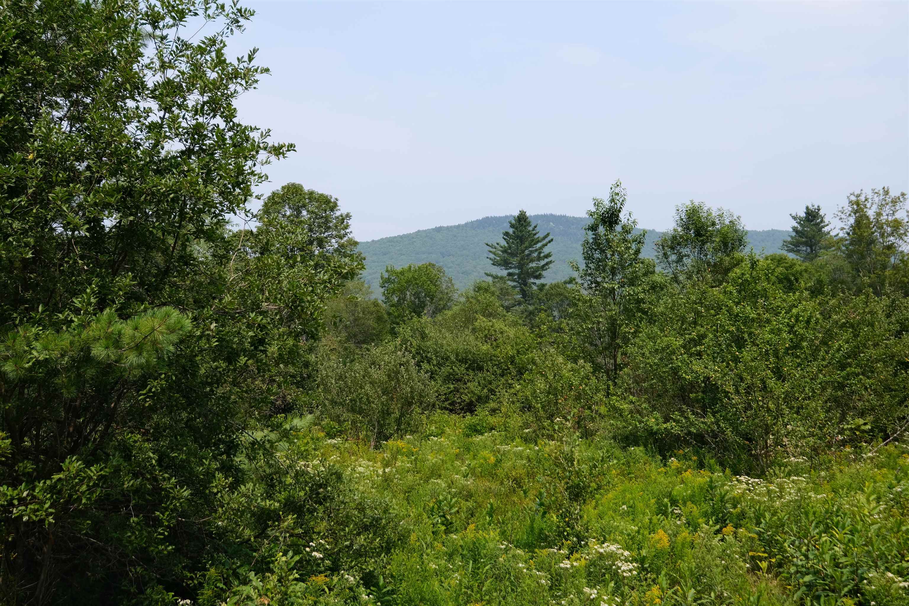 525 Station Road Property Photo 15