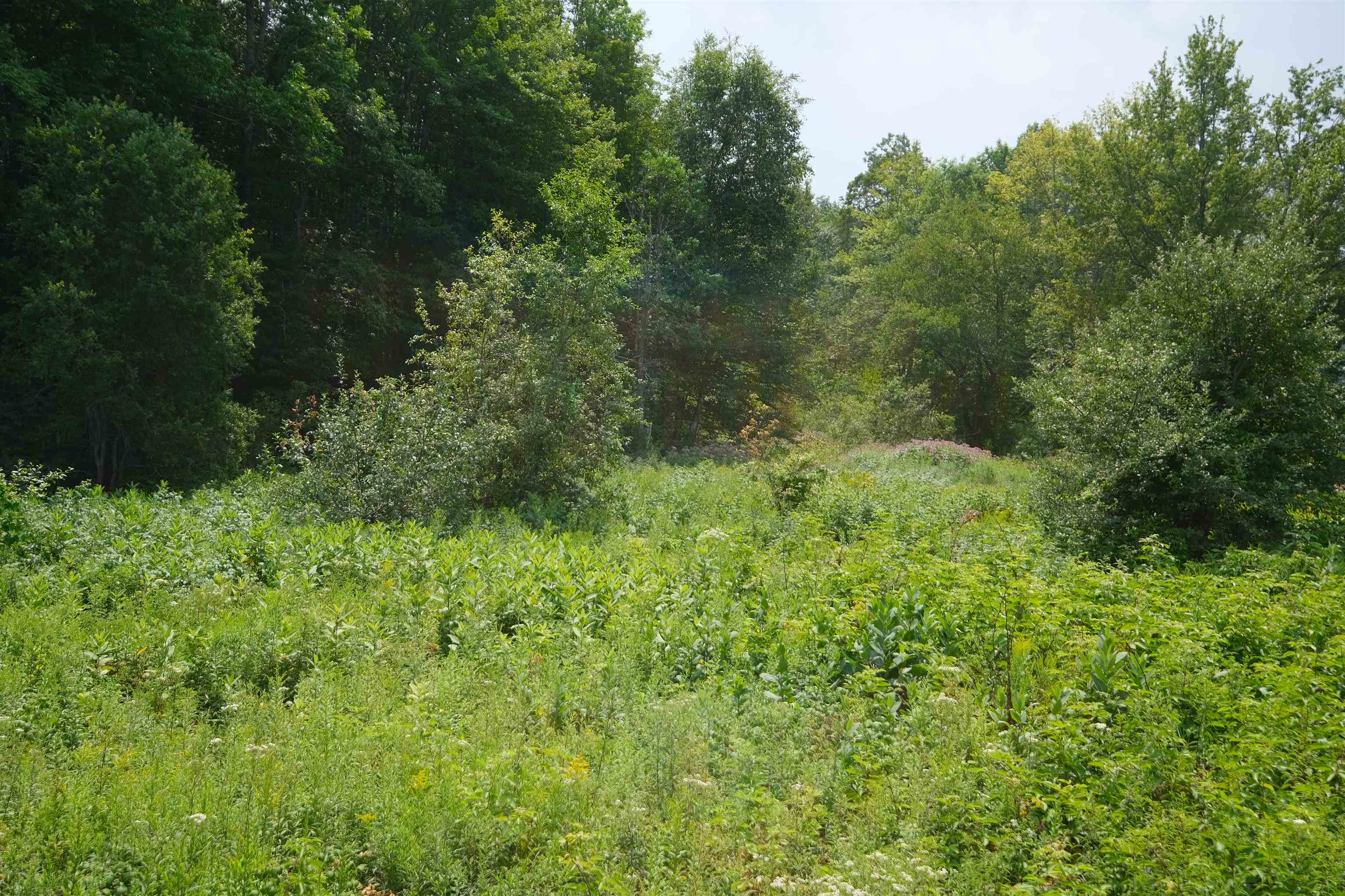 525 Station Road Property Photo 16