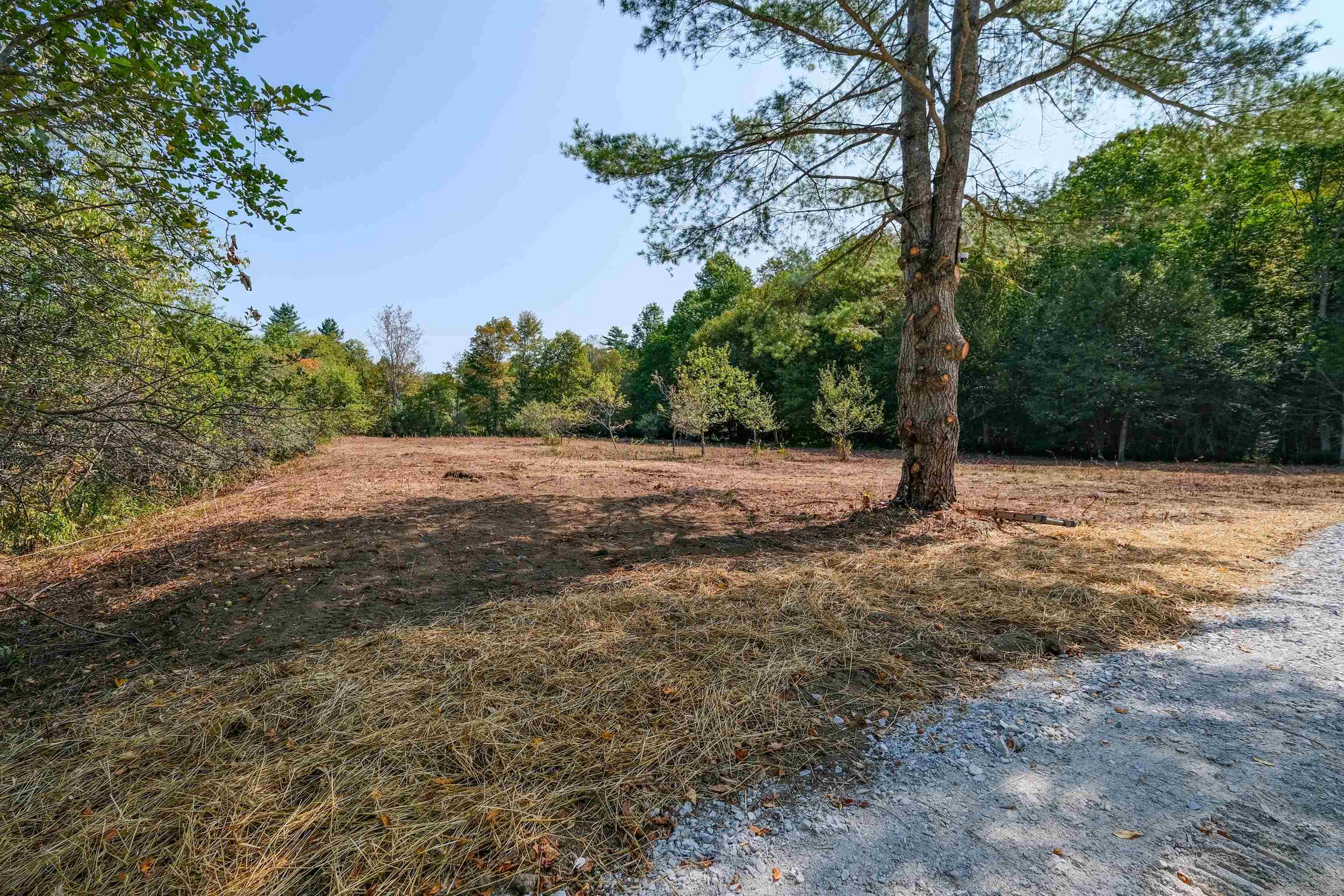 525 Station Road Property Photo 19