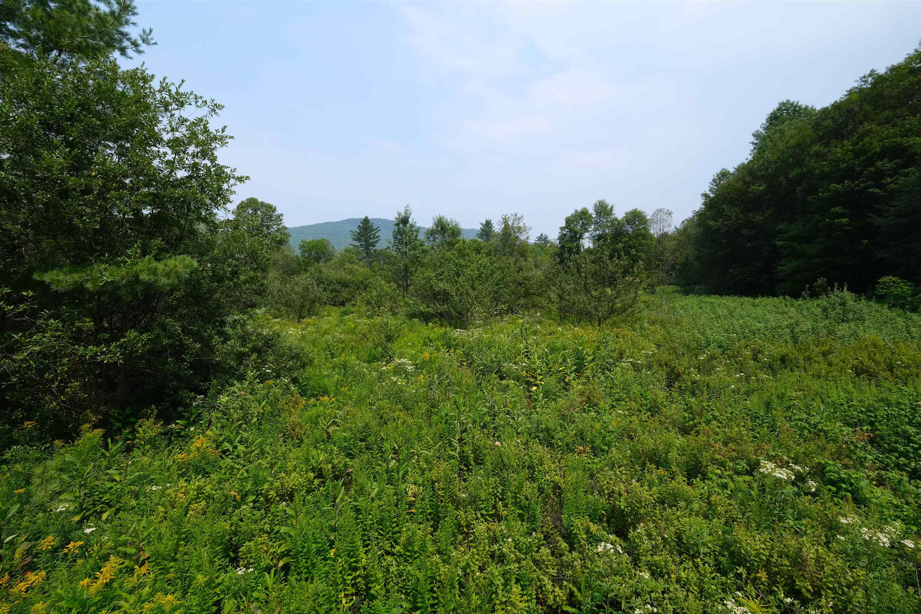 525 Station Road Property Photo 8