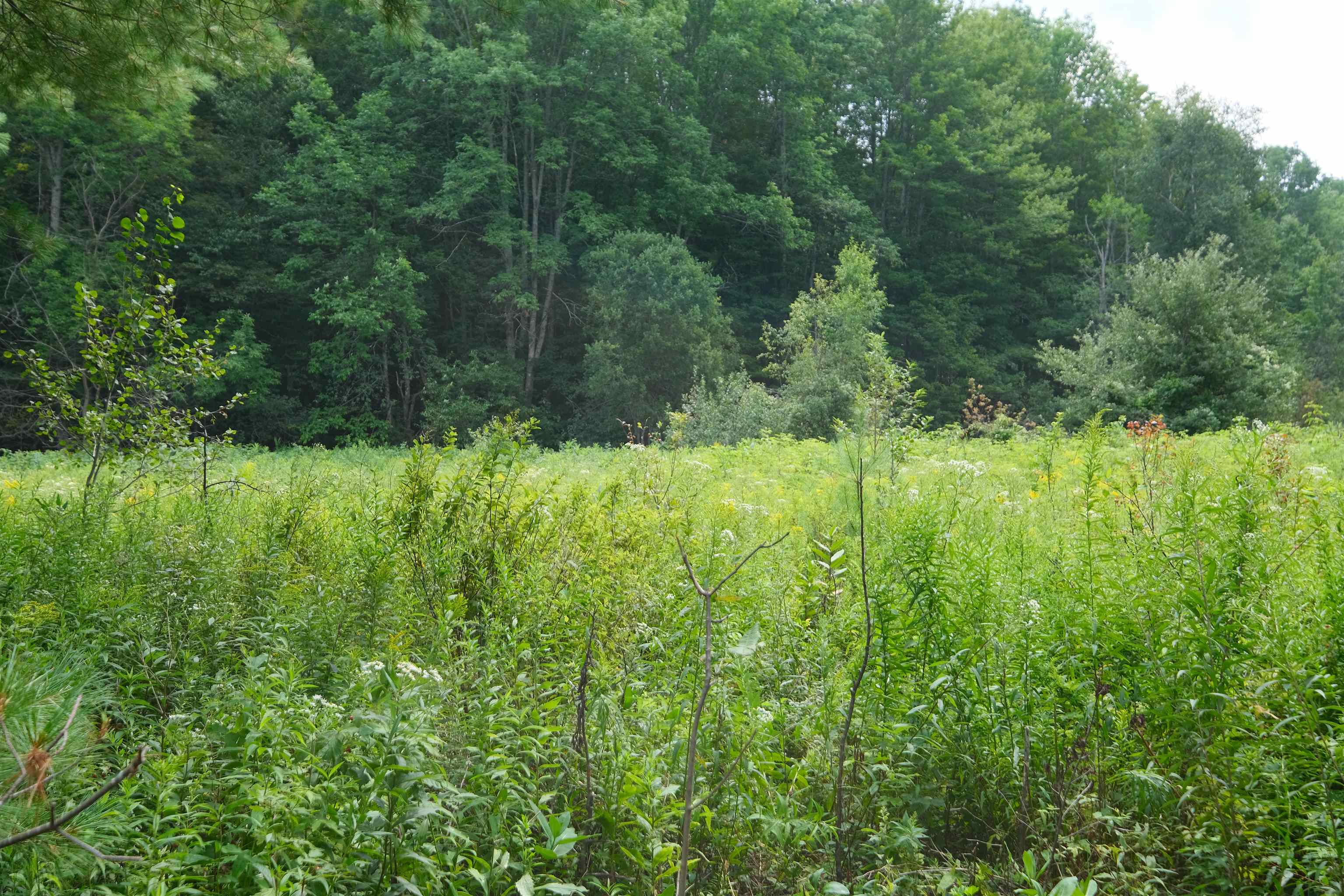525 Station Road Property Photo 11