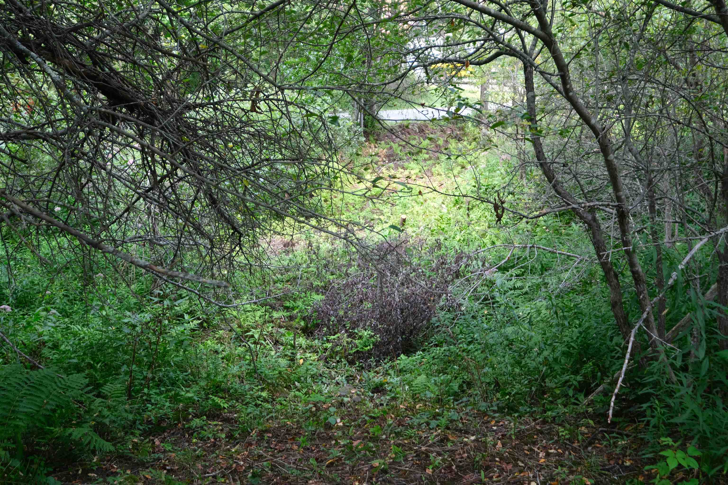 525 Station Road Property Photo 12