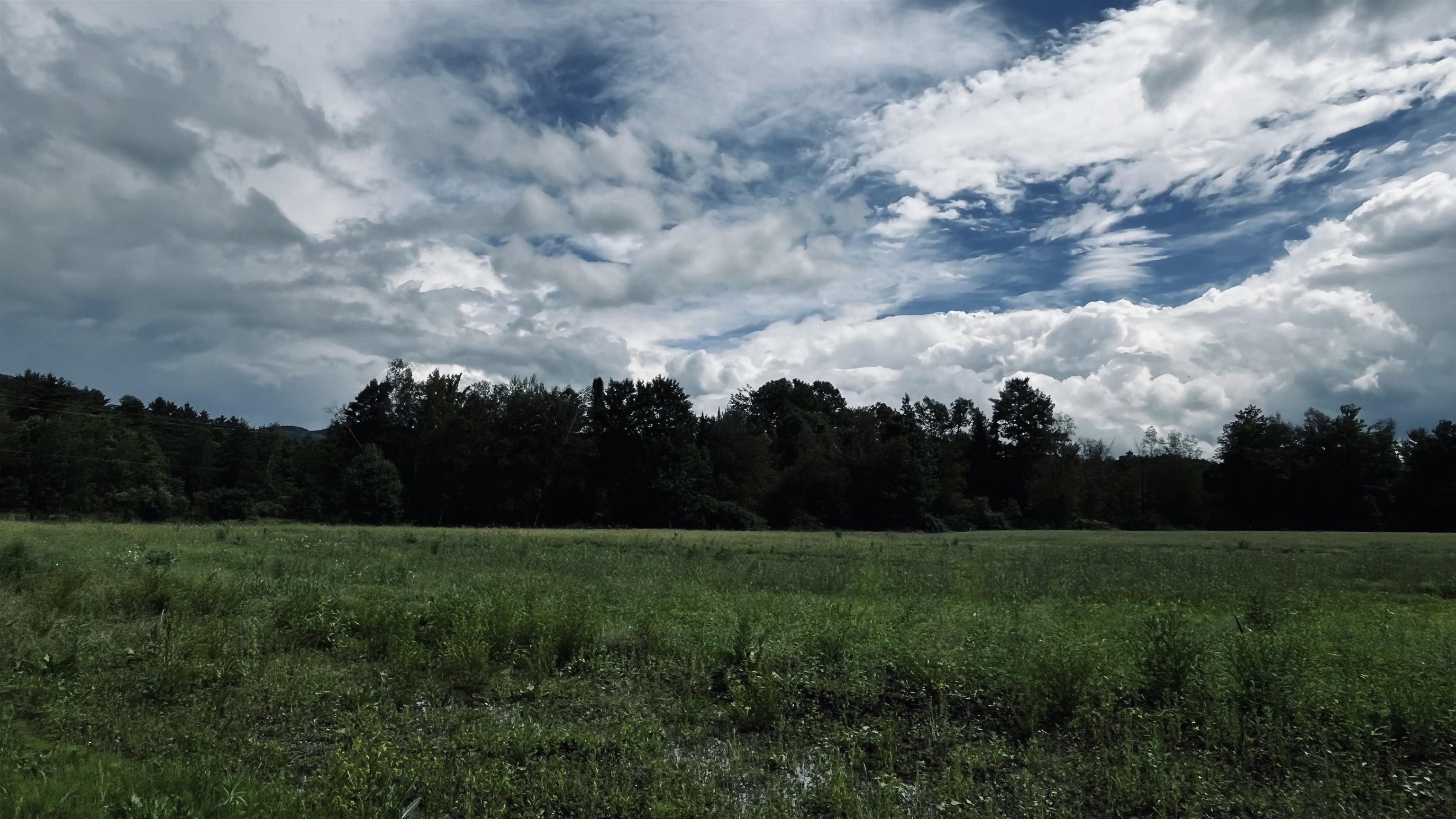 972-a Fitzgerald Road Property Photo 9