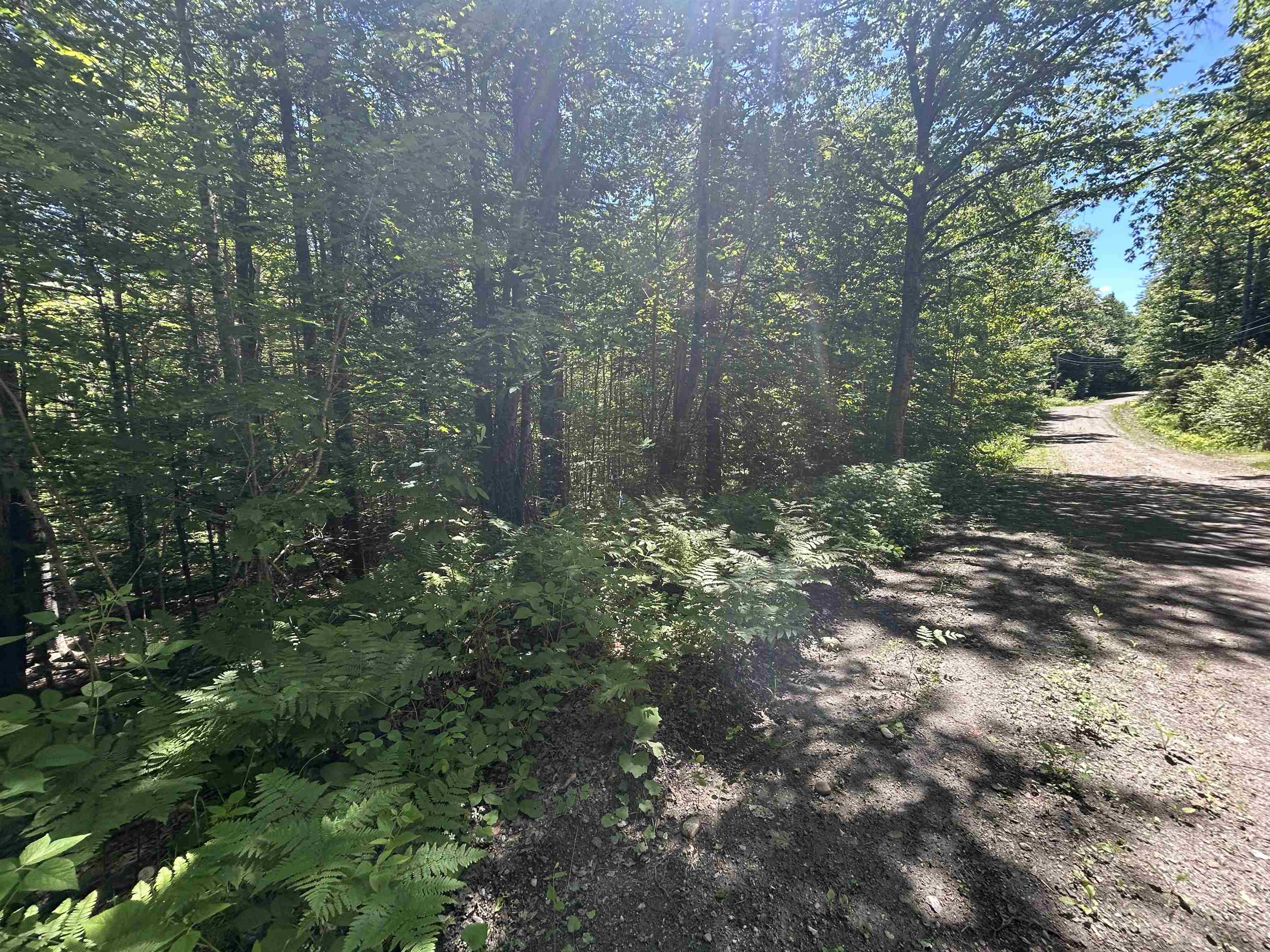 000f-320 Bourbon Run Property Photo 2
