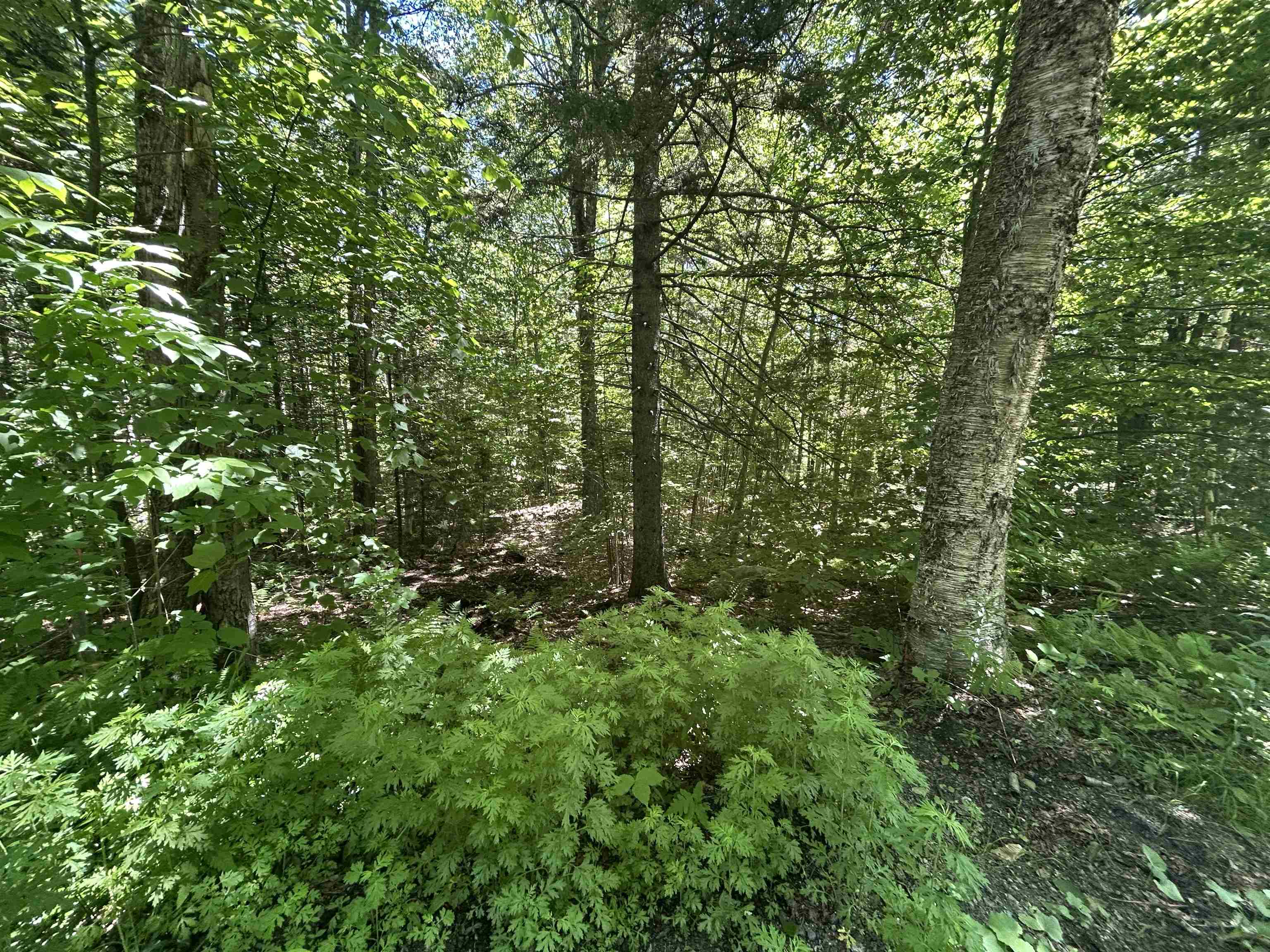 000f-320 Bourbon Run Property Photo 3
