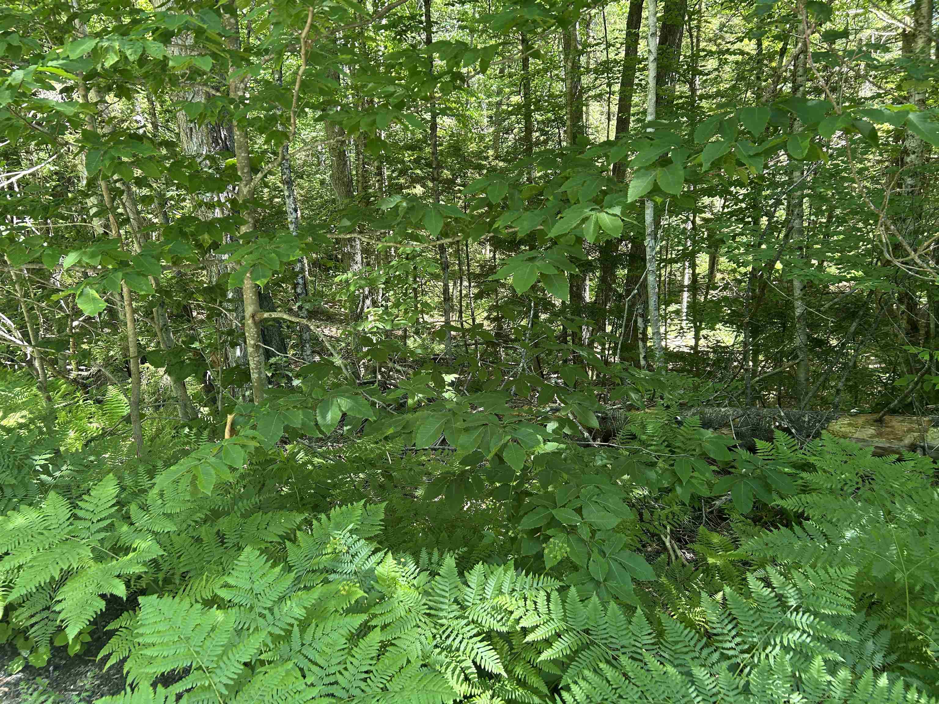 000f-320 Bourbon Run Property Photo 4