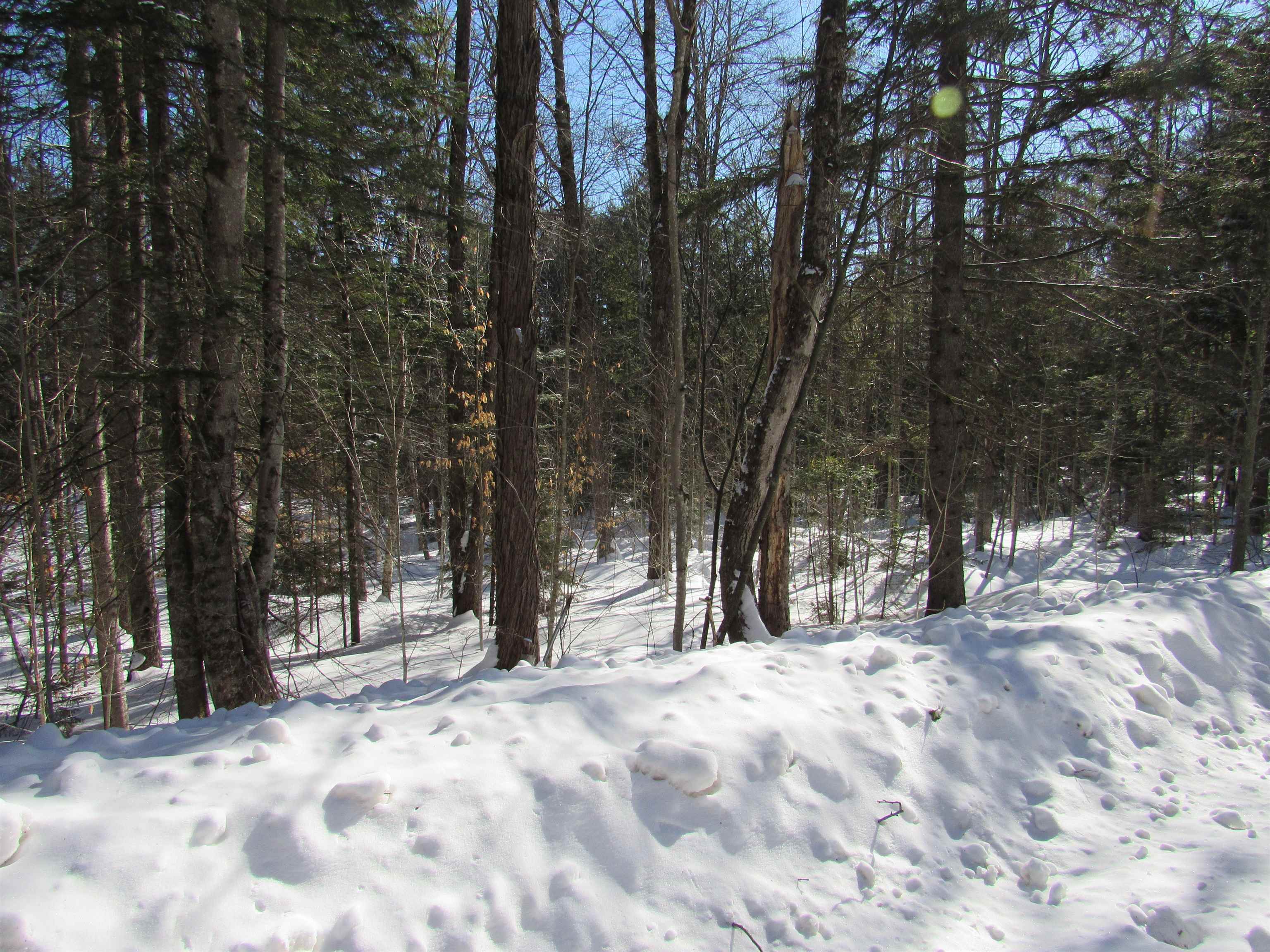 000f-320 Bourbon Run Property Photo 7