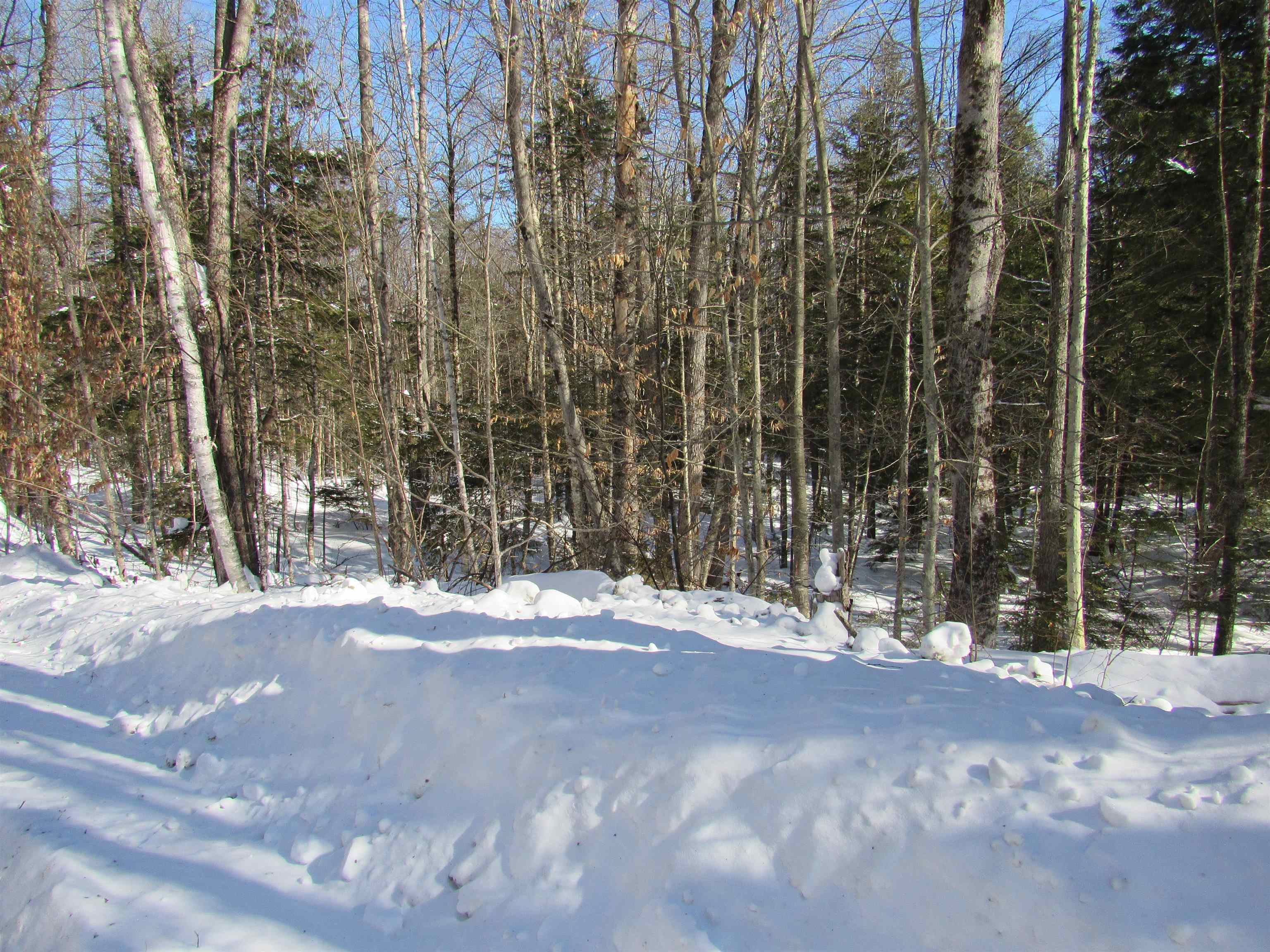 000f-320 Bourbon Run Property Photo 9