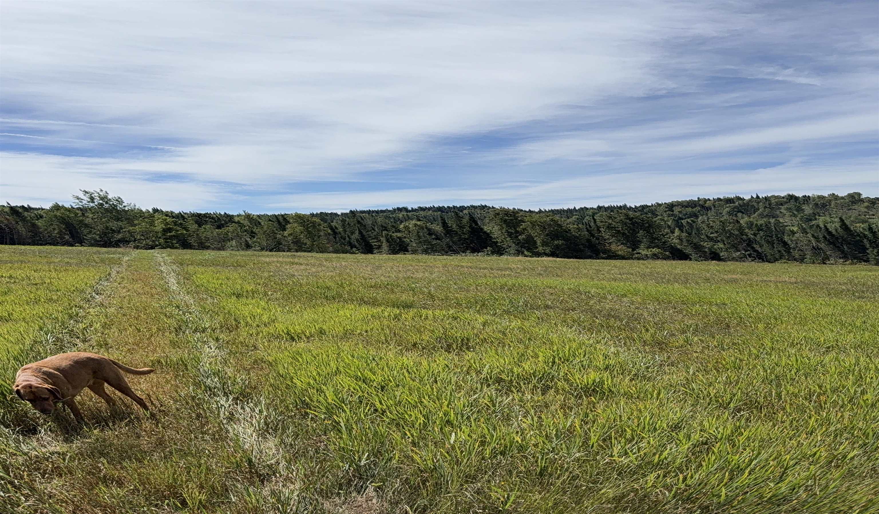 Lot 3 Creampoke Road Property Photo 18