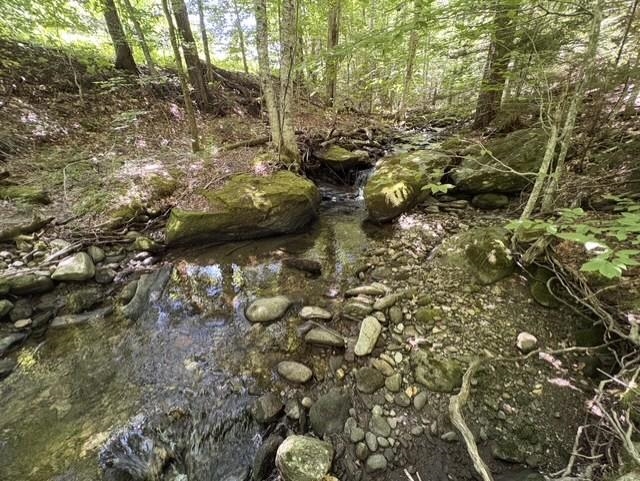 98 Lockwood Brook Road Property Photo 49