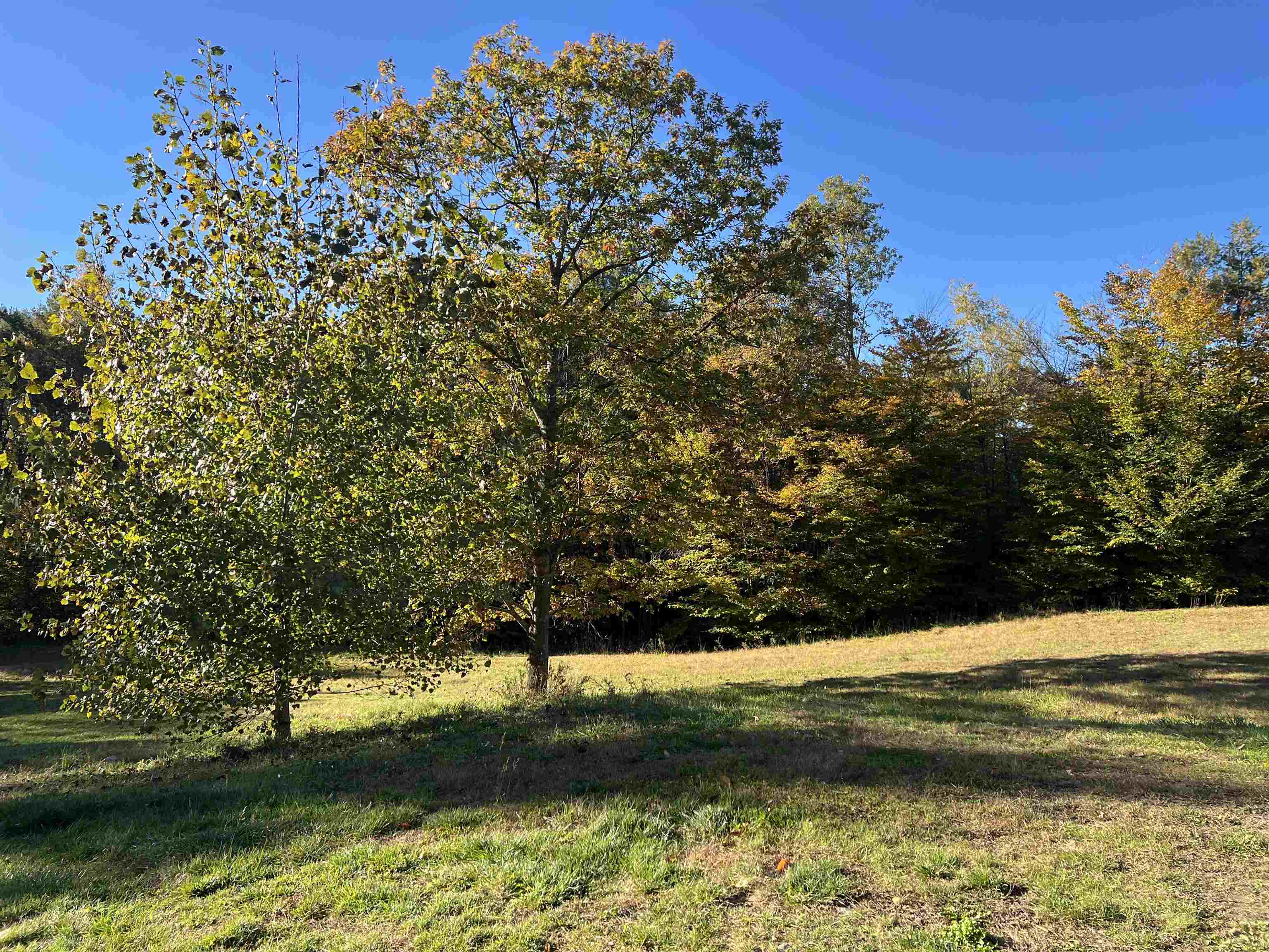 133 Stagecoach Road Property Photo 22