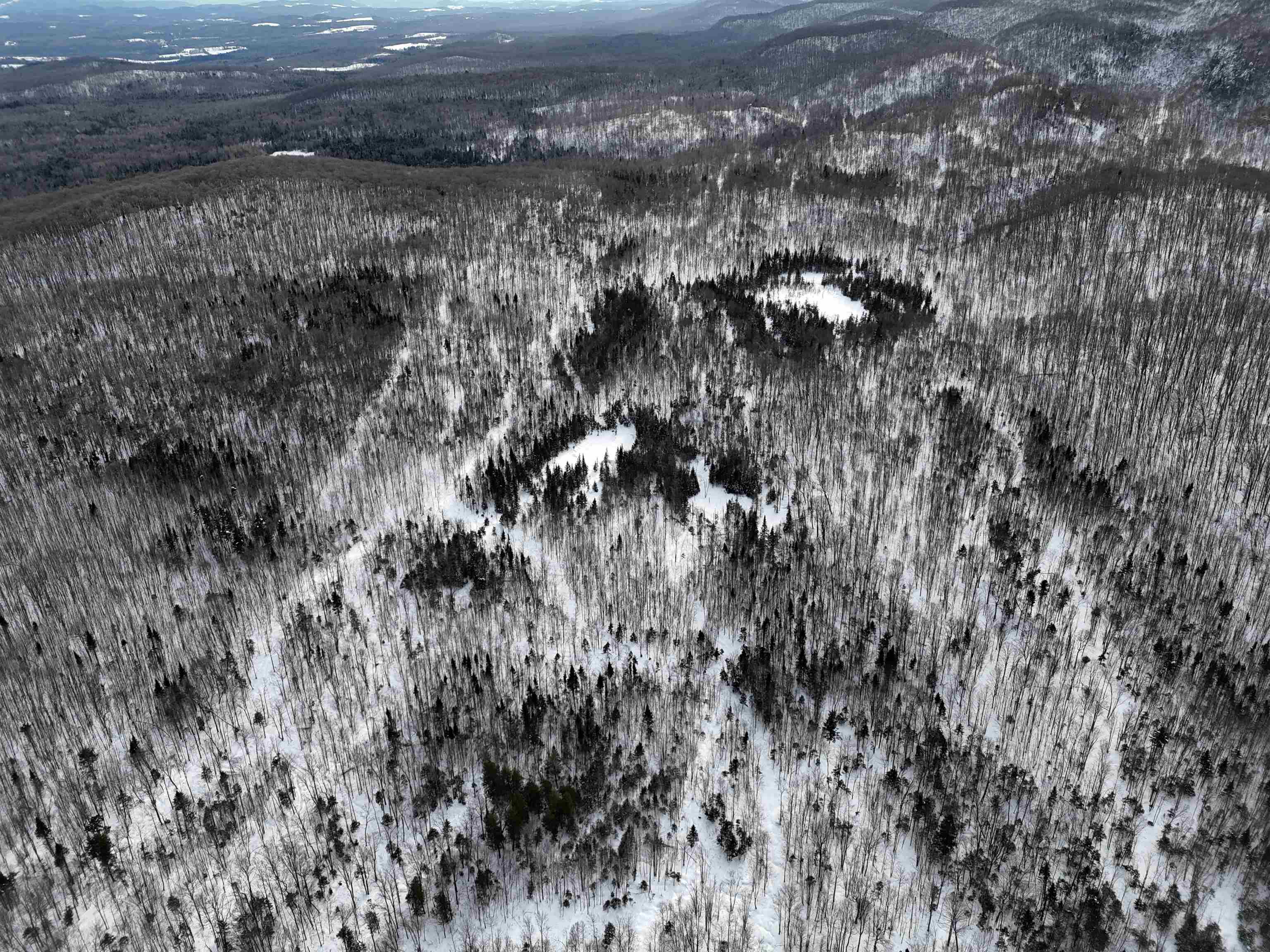 Stannard Mountain Road Property Photo 19