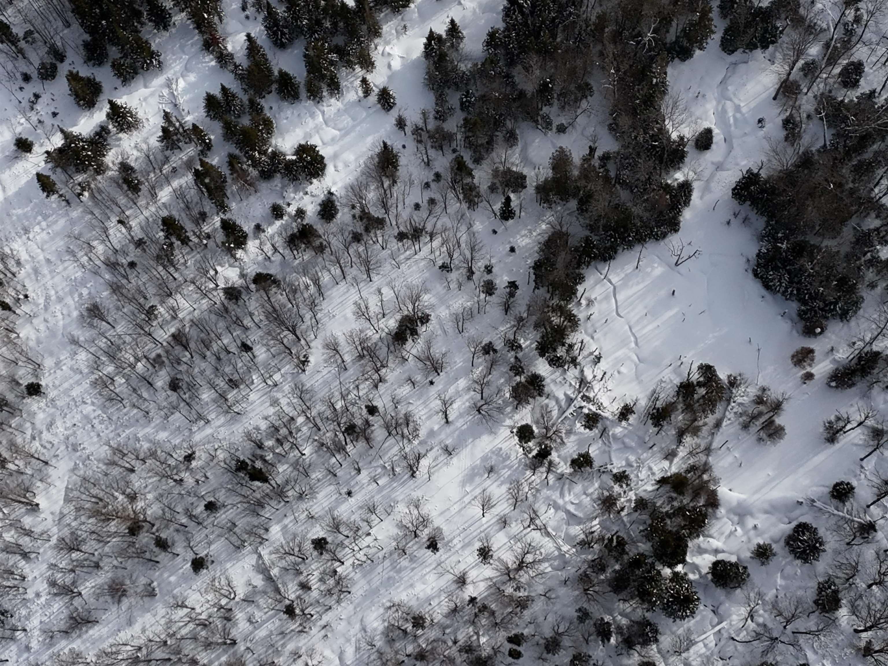 Stannard Mountain Road Property Photo 22