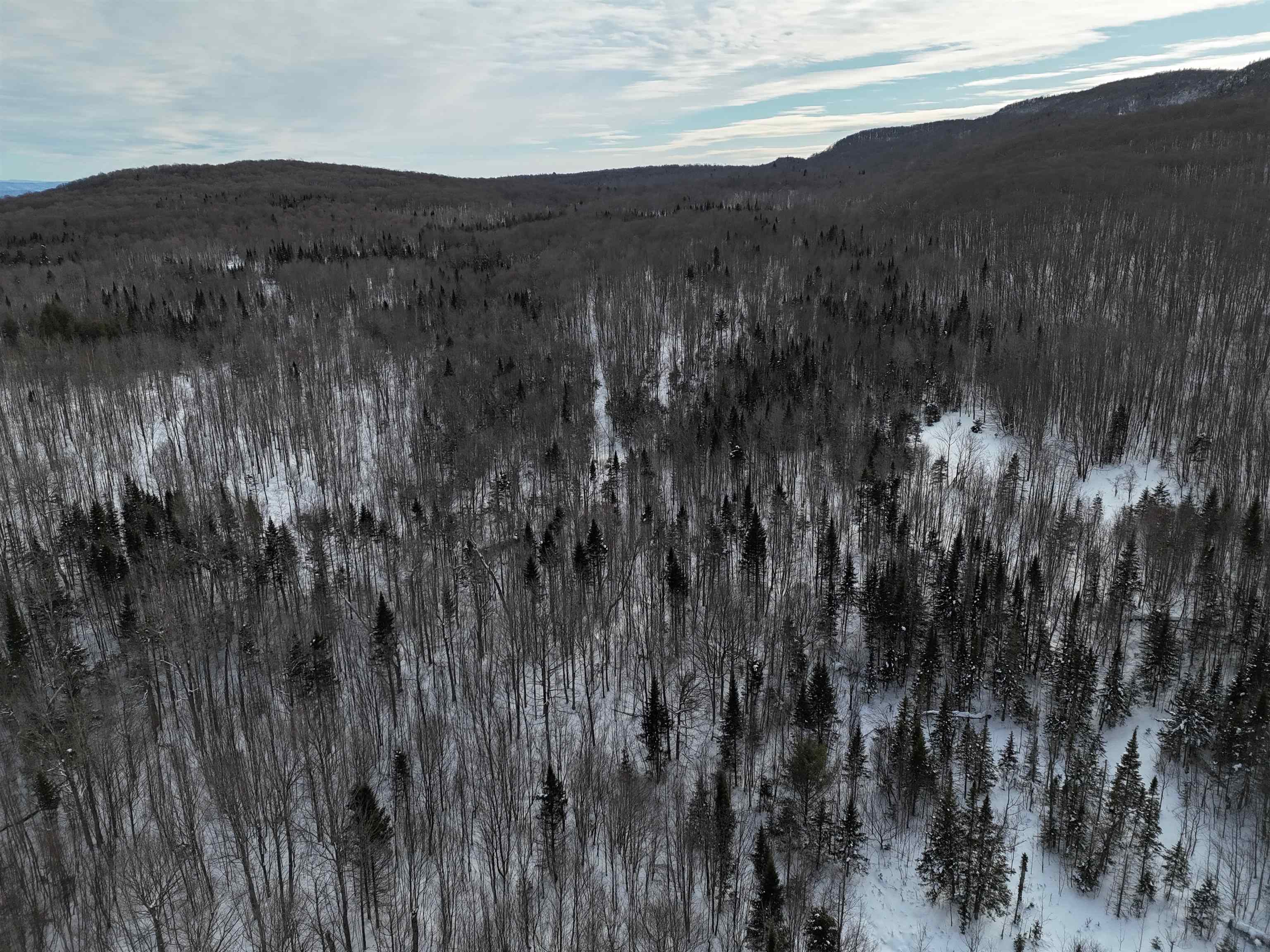 Stannard Mountain Road Property Photo 31
