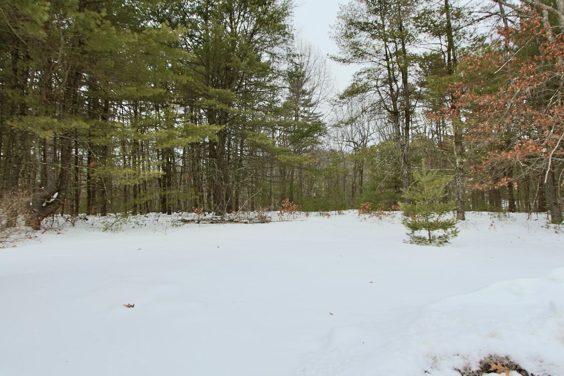 101 Page Road Property Photo 5