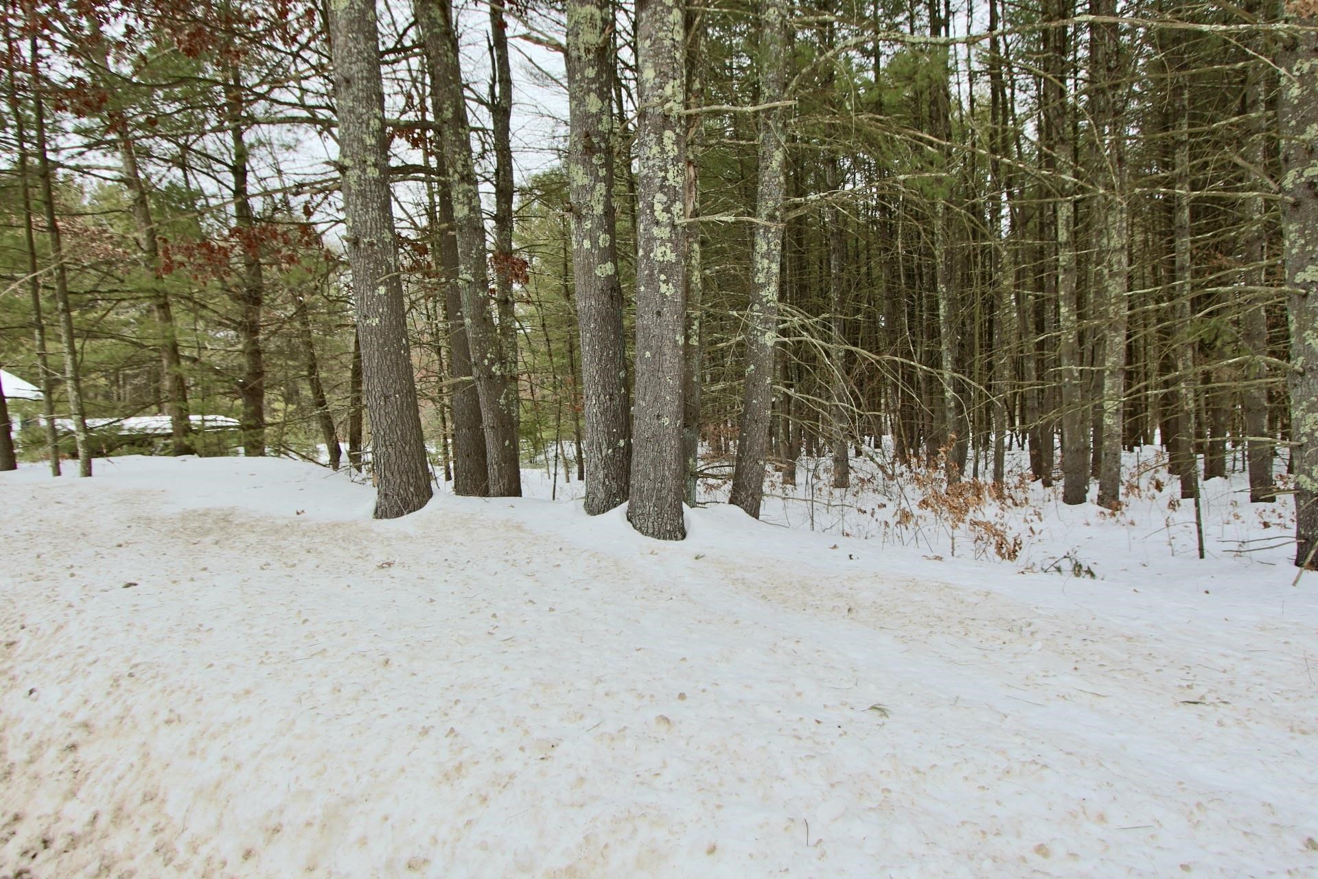 101 Page Road Property Photo 16