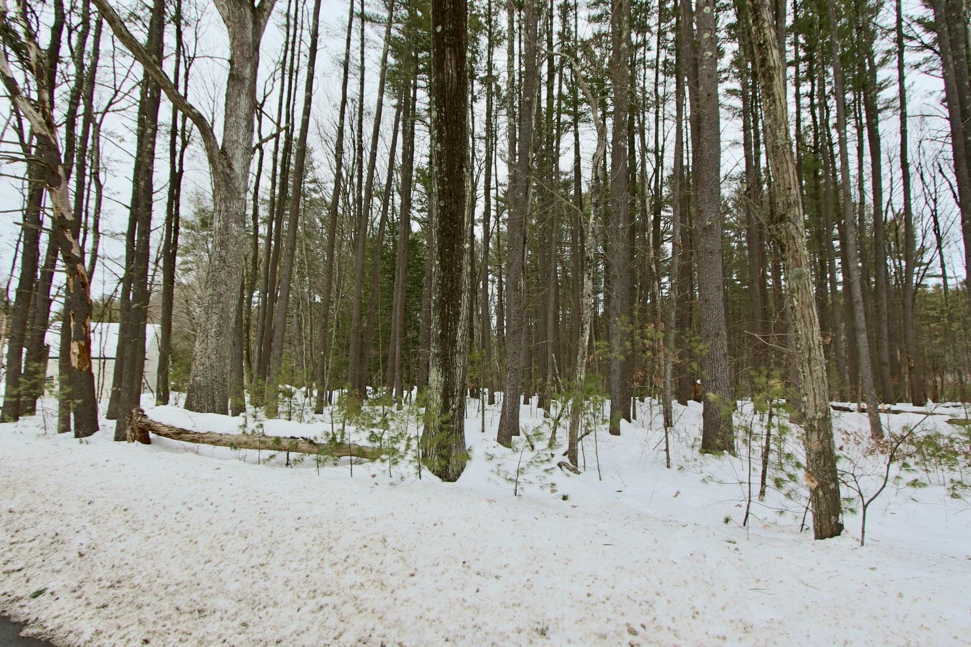 101 Page Road Property Photo 23