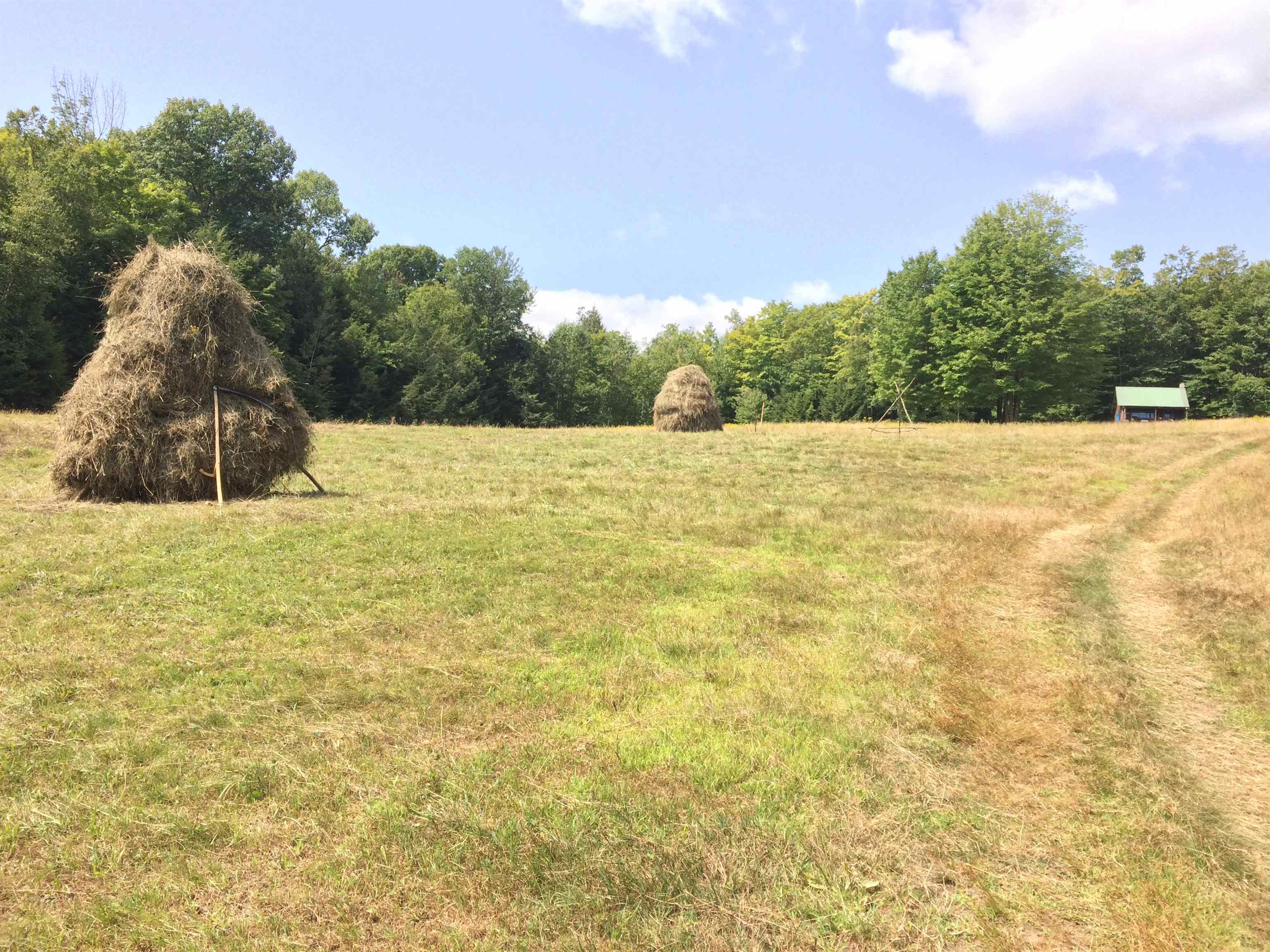 1607 Massey Road Property Photo 48