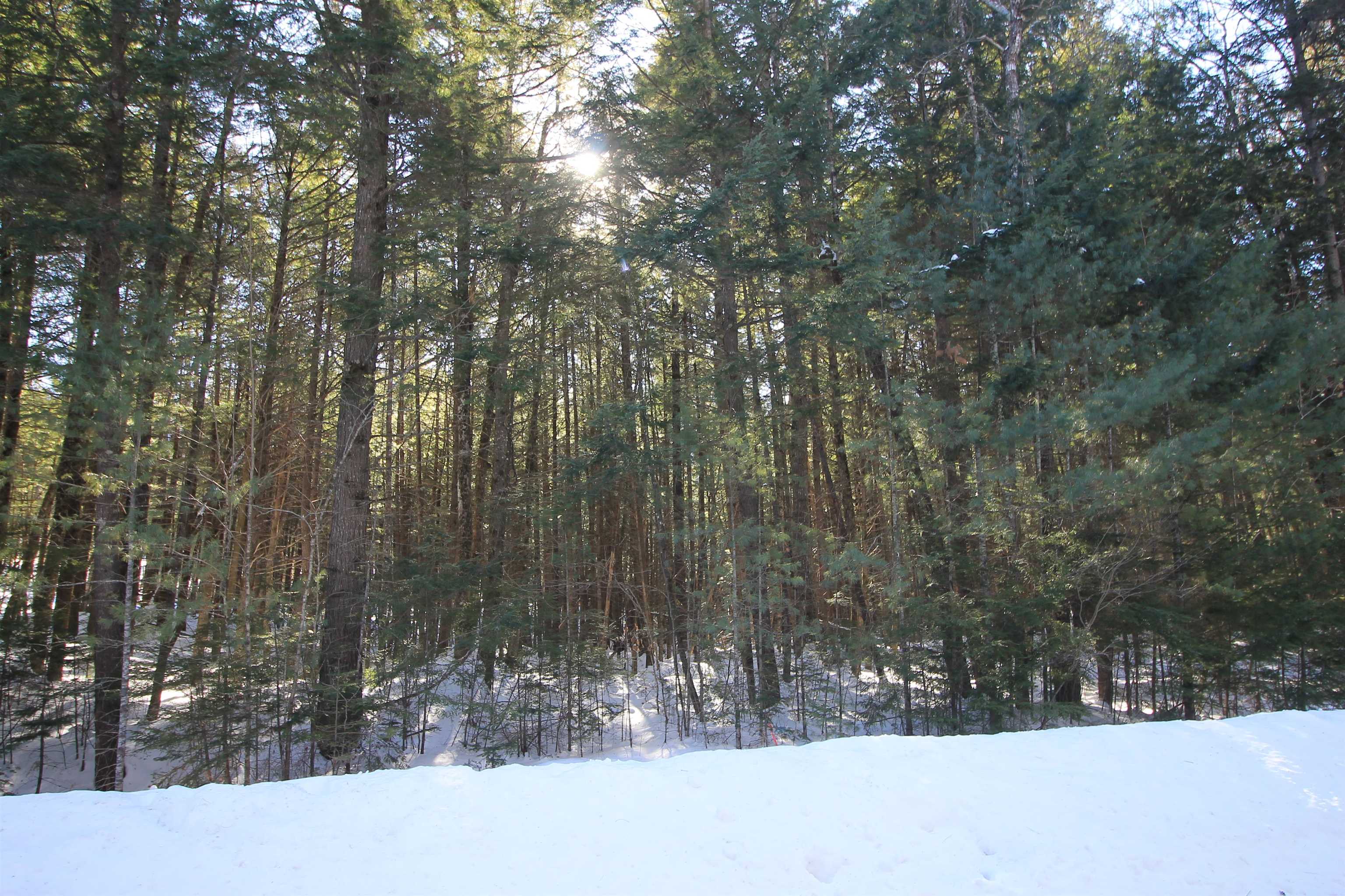 00 Covered Bridge Road Property Photo 5
